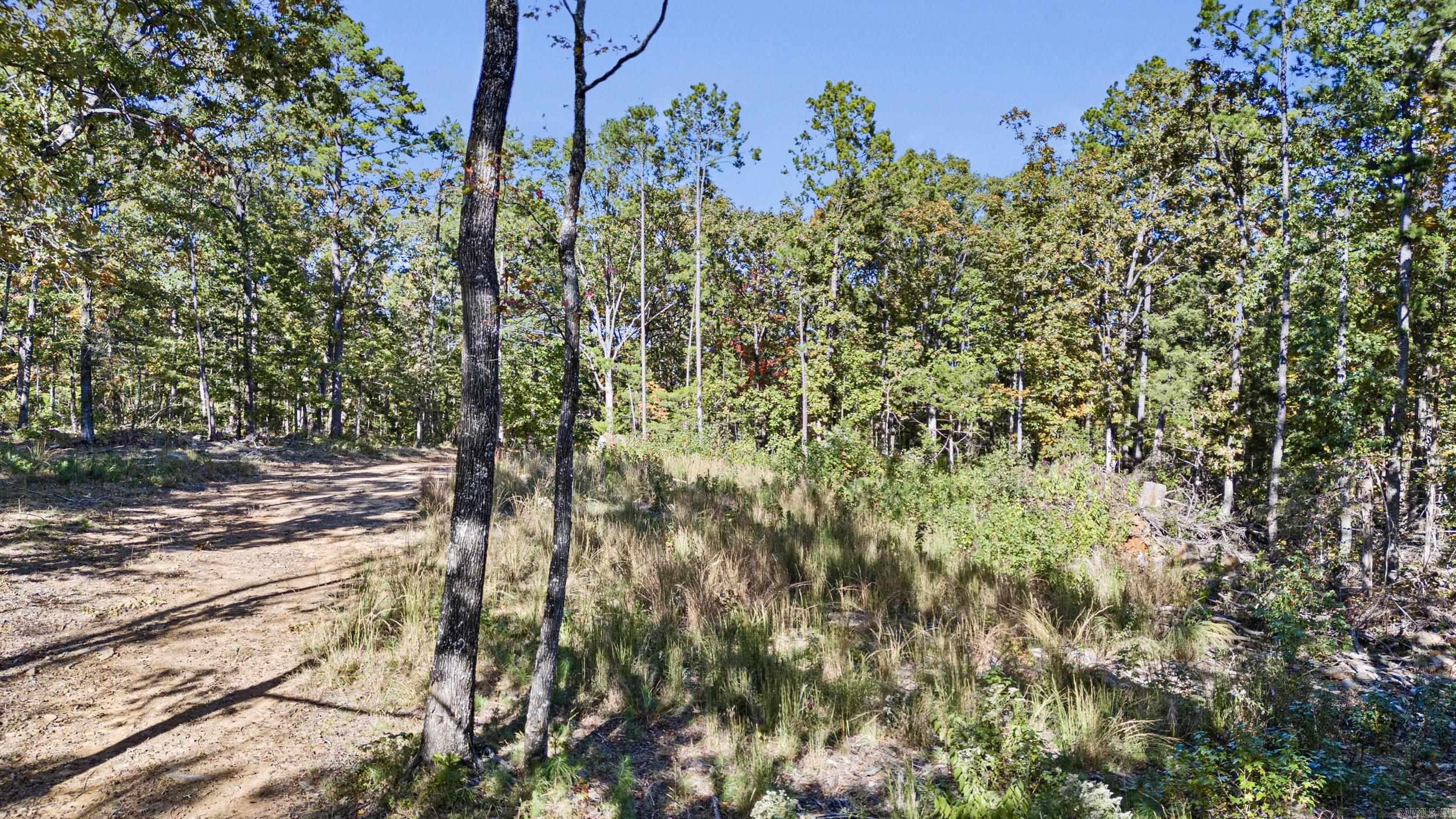  AR 155  Dardanelle, AR