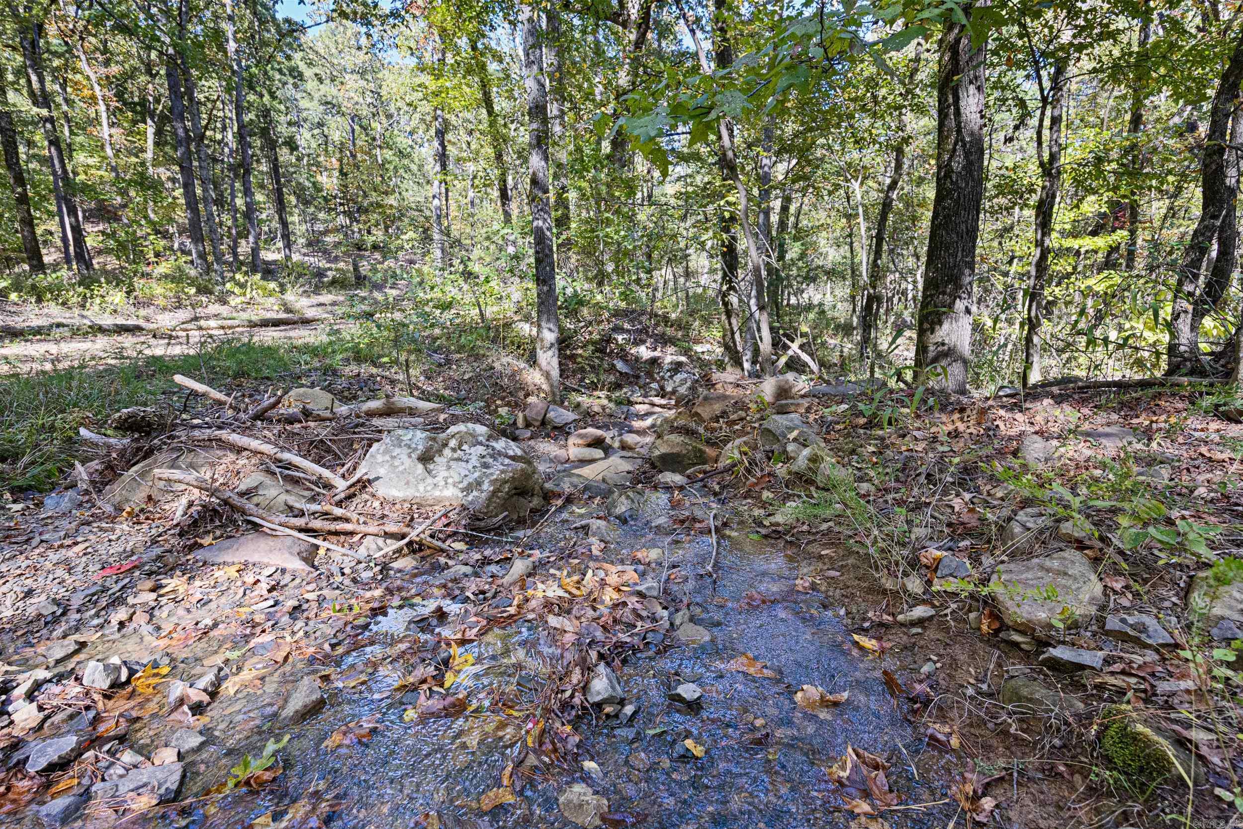  AR 155  Dardanelle, AR