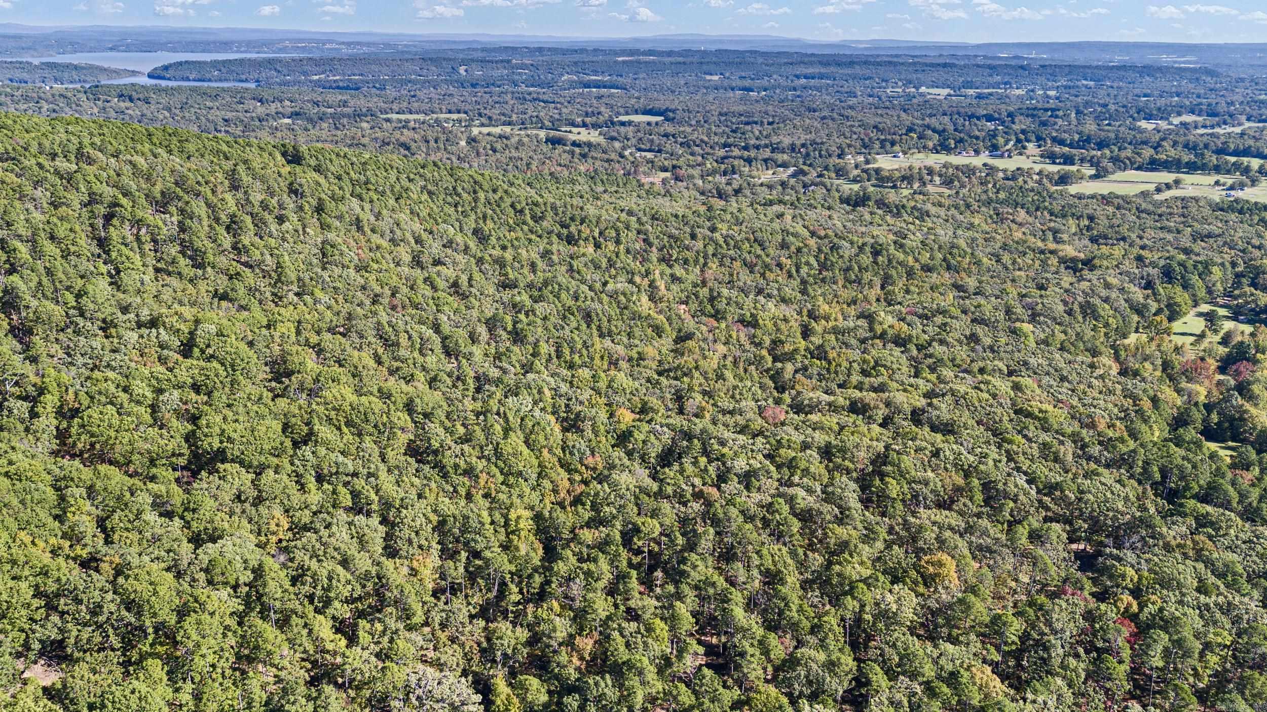  AR 155  Dardanelle, AR