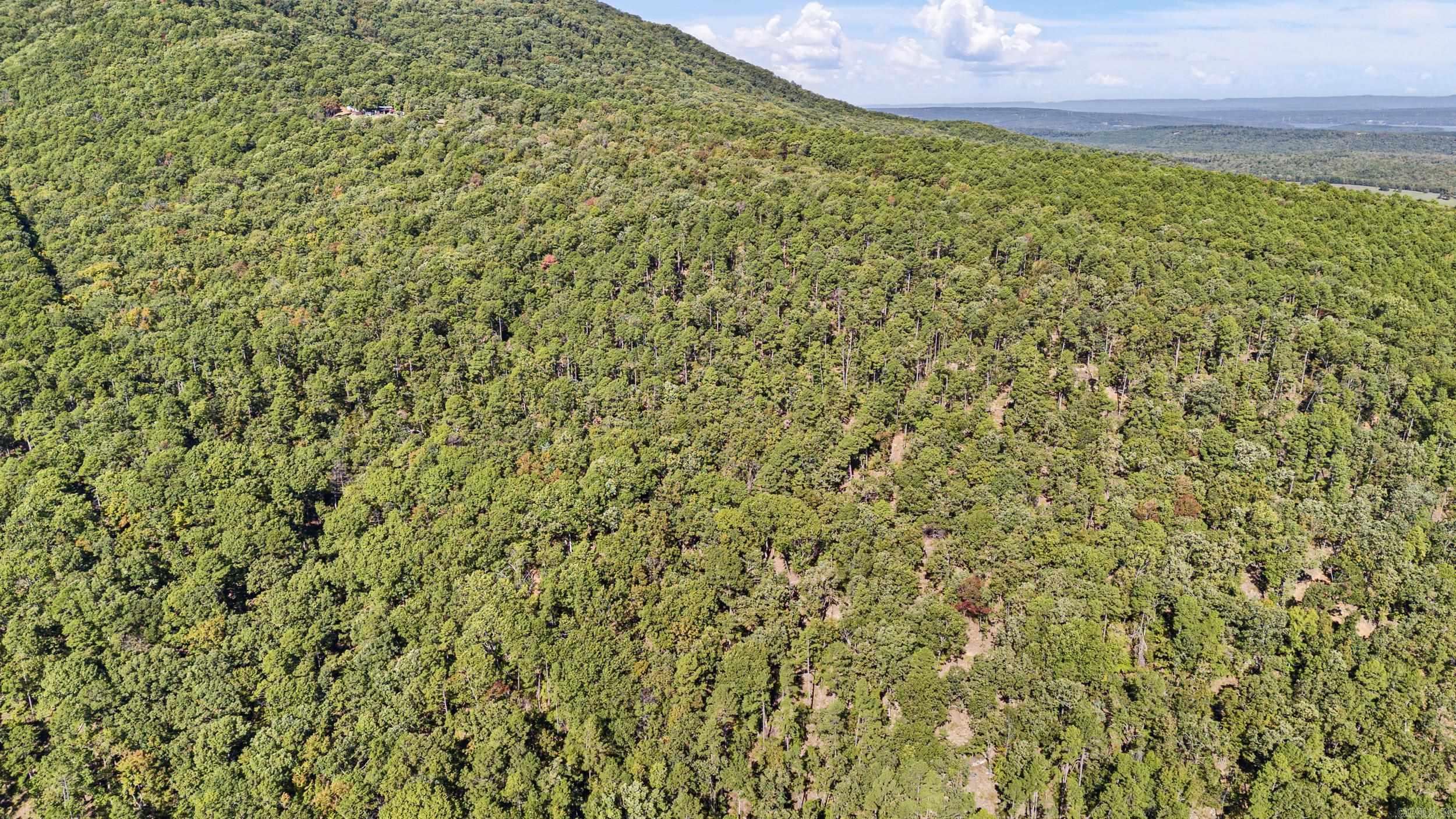  AR 155  Dardanelle, AR