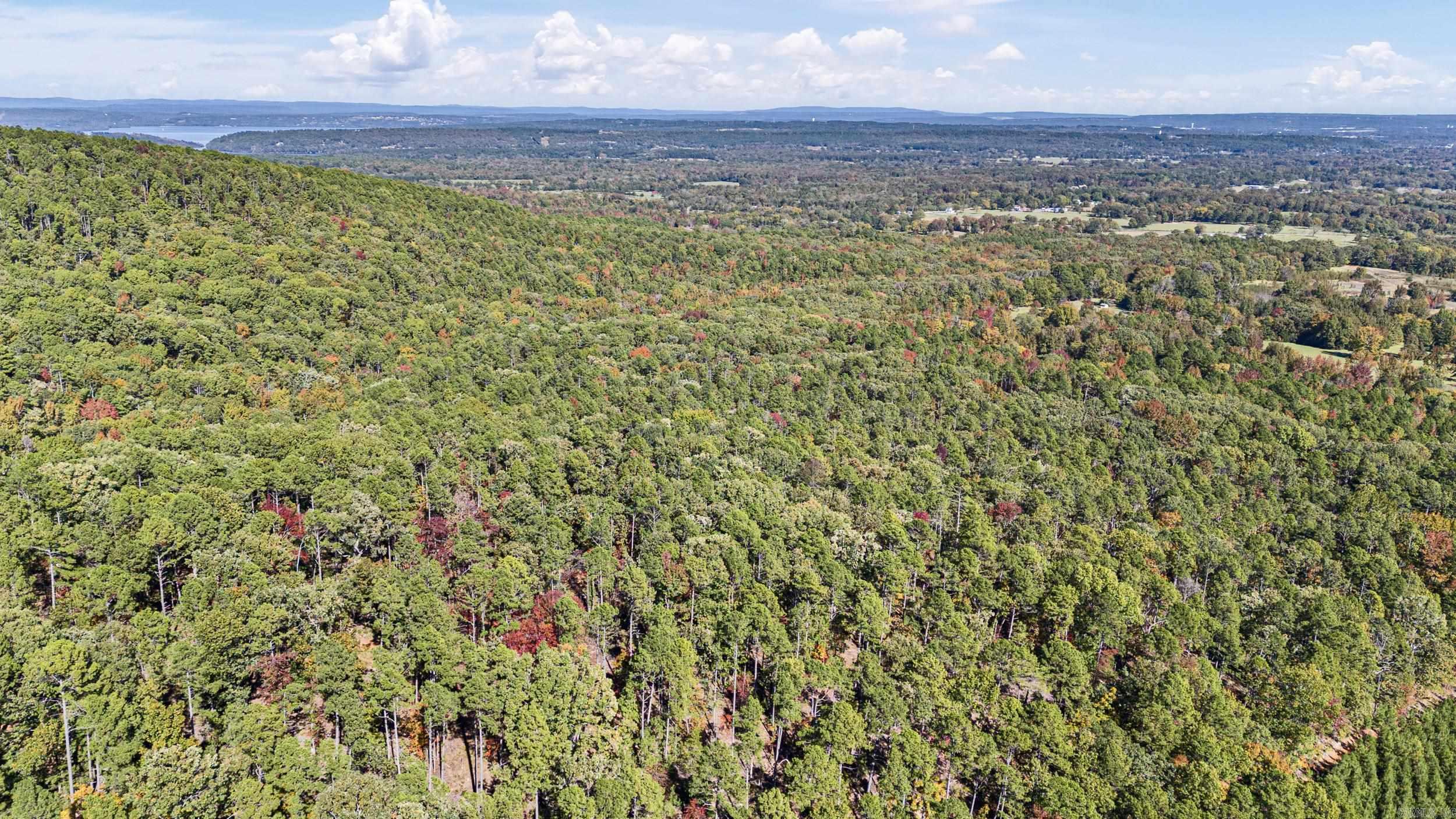  AR 155  Dardanelle, AR