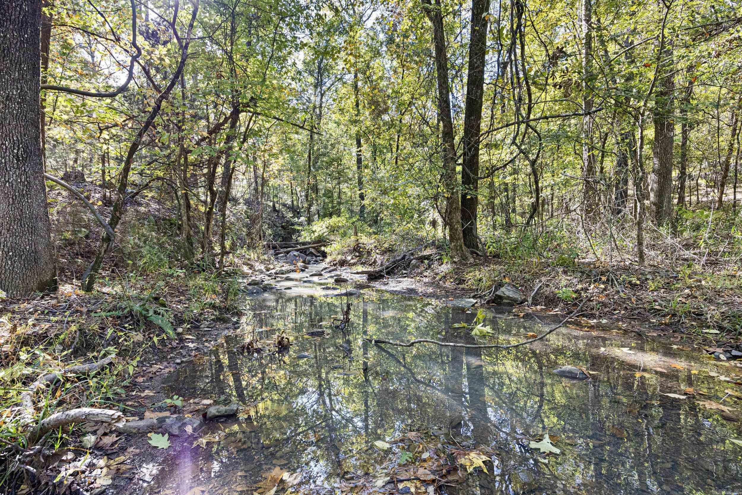  AR 155  Dardanelle, AR