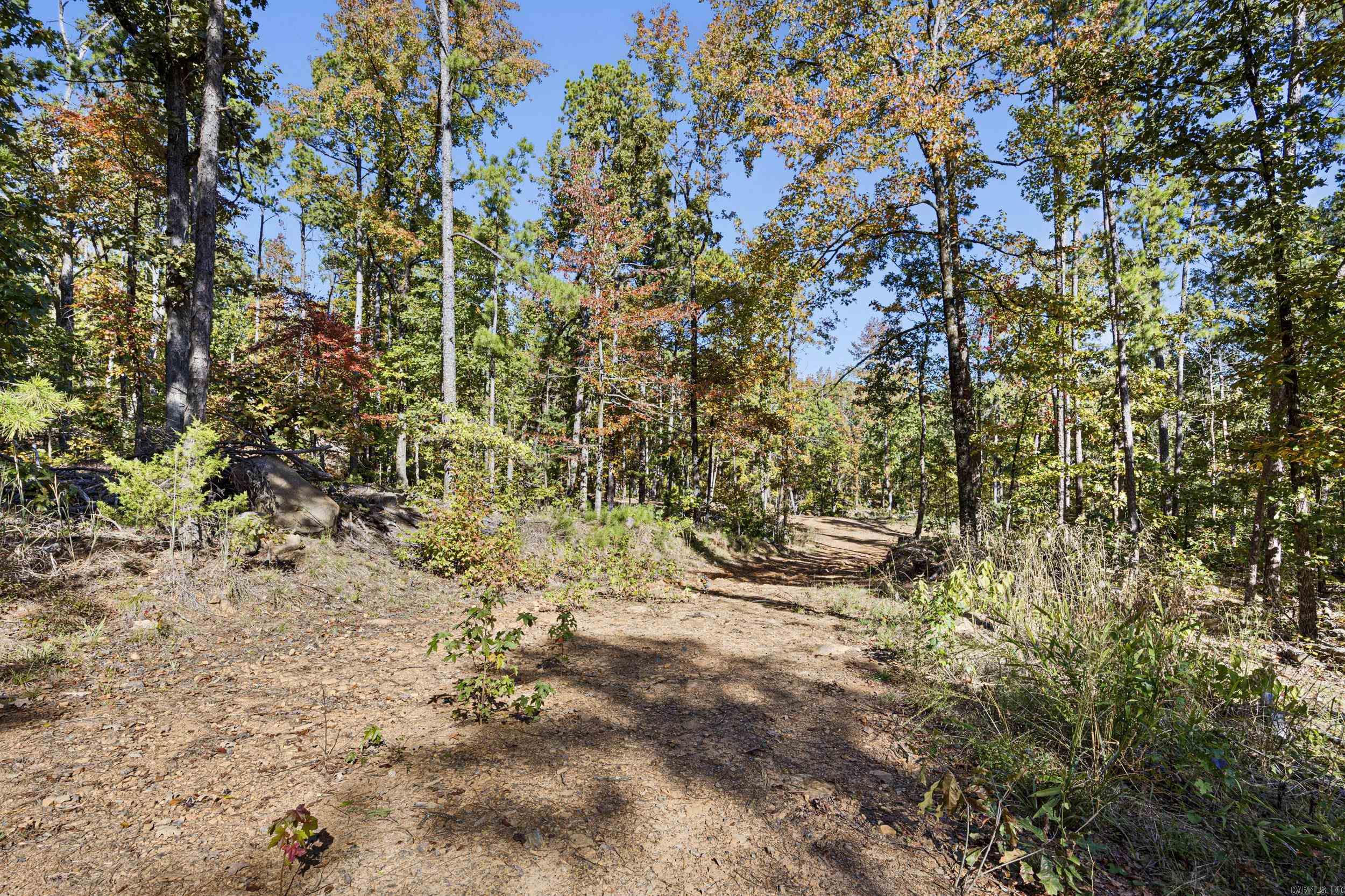  AR 155  Dardanelle, AR