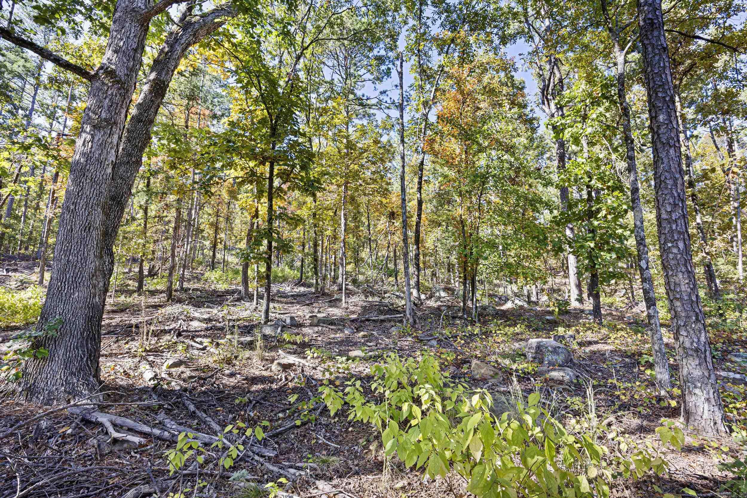  AR 155  Dardanelle, AR