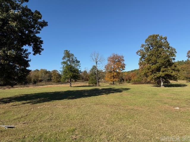 92 Reva's  Story, AR