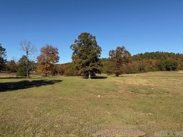 92 Reva's  Story, AR