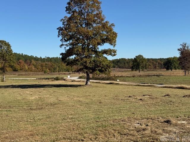 92 Reva's  Story, AR