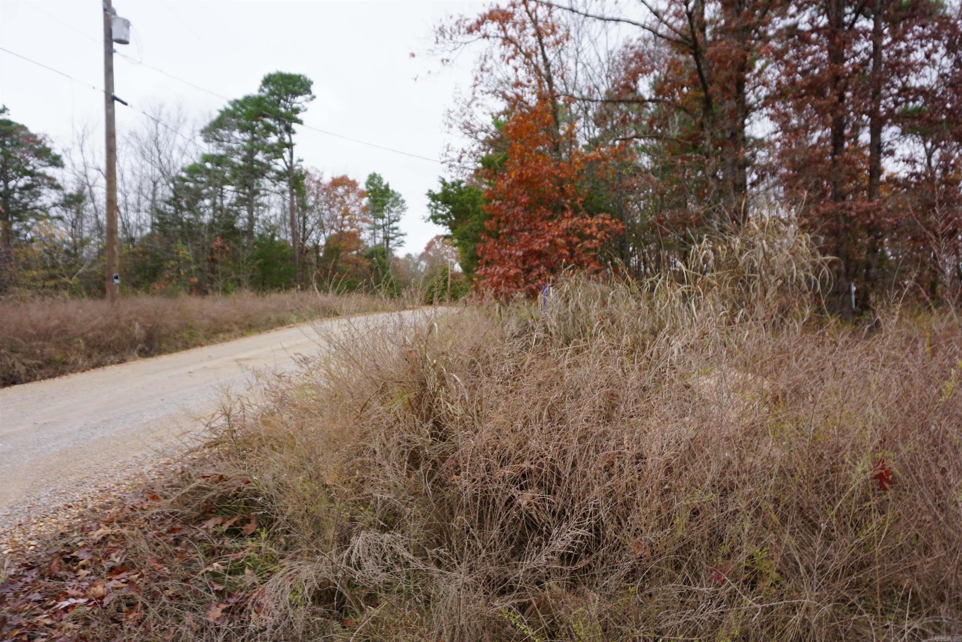 000 Union Hill Road  Pleasant Plains, AR