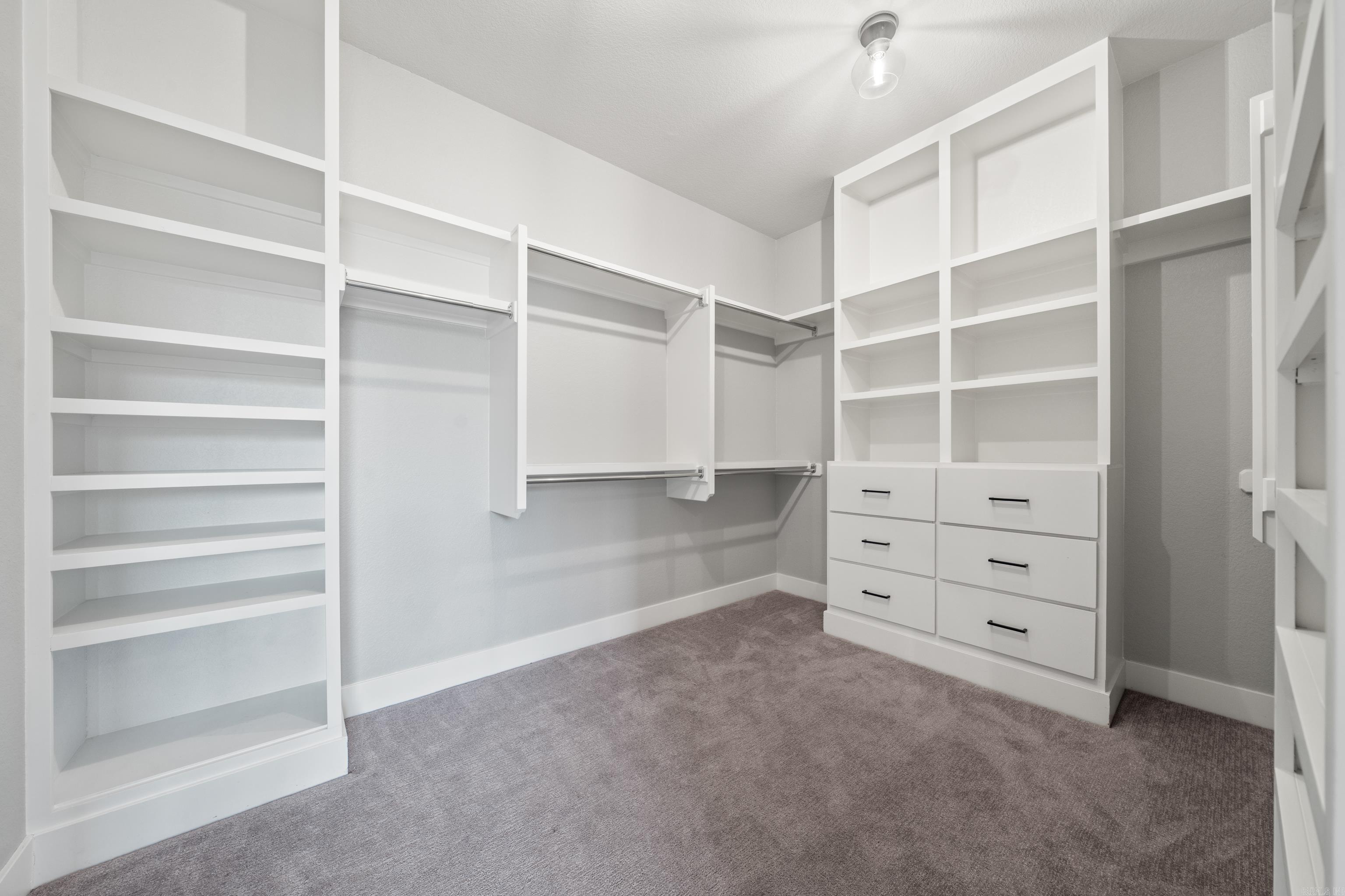 105 Coneflower  Hot Springs, AR