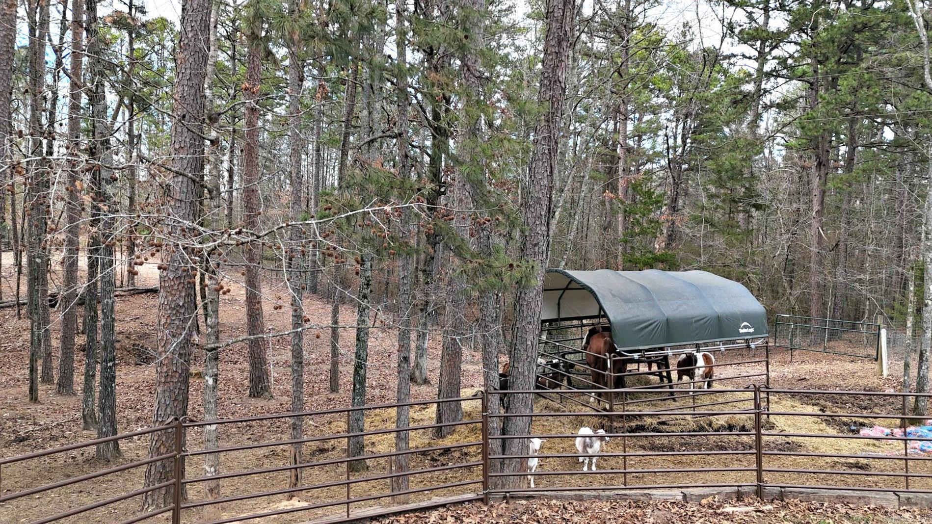 19 Bradshaw Lane Norman, AR 71960