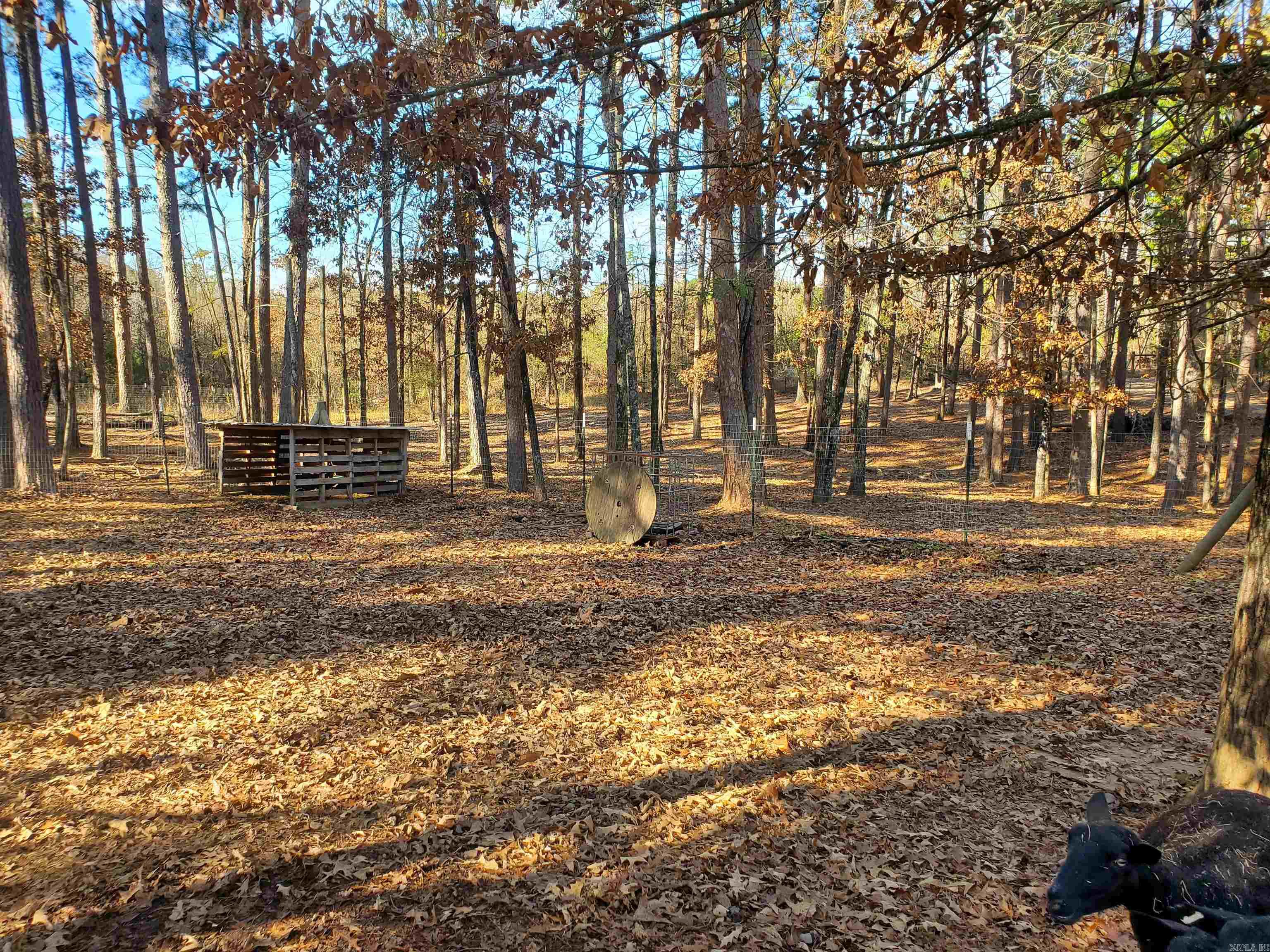 19 Bradshaw Lane Norman, AR 71960