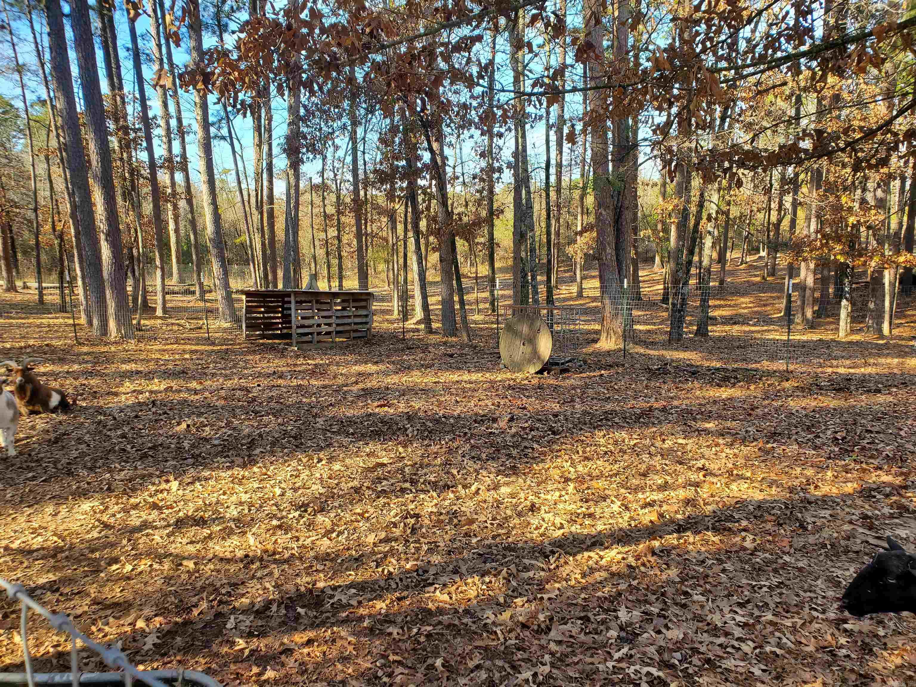 19 Bradshaw Lane Norman, AR 71960