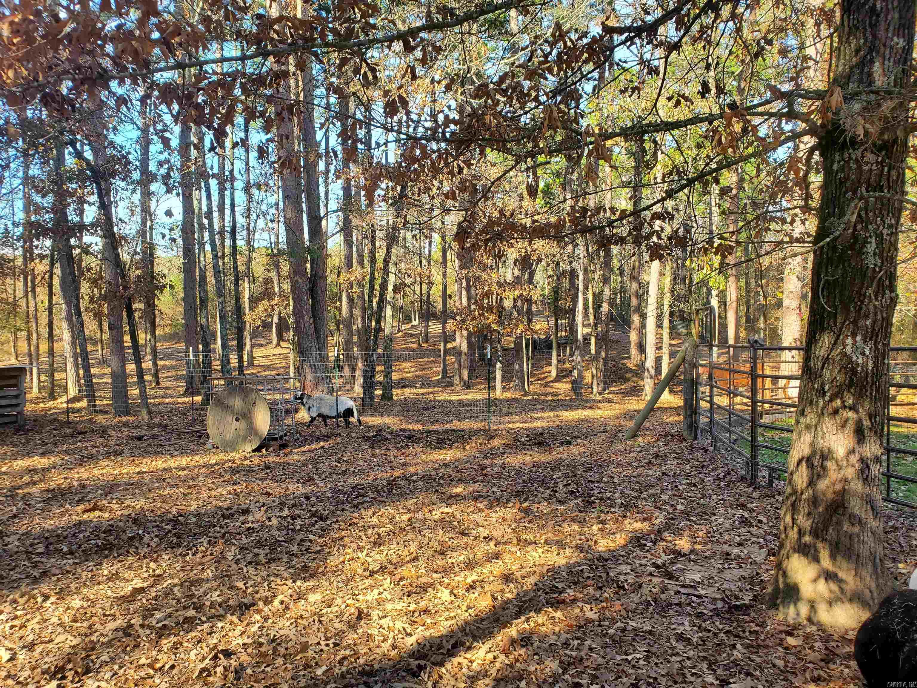 19 Bradshaw Lane Norman, AR 71960