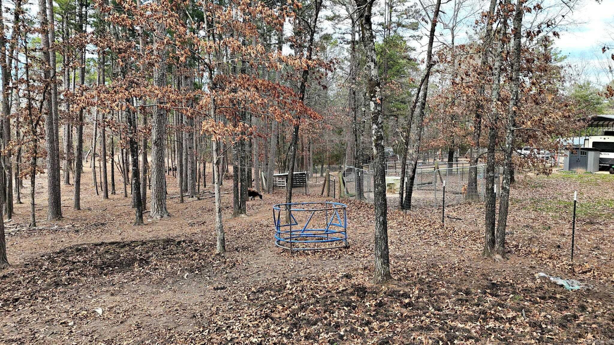 19 Bradshaw Lane Norman, AR 71960