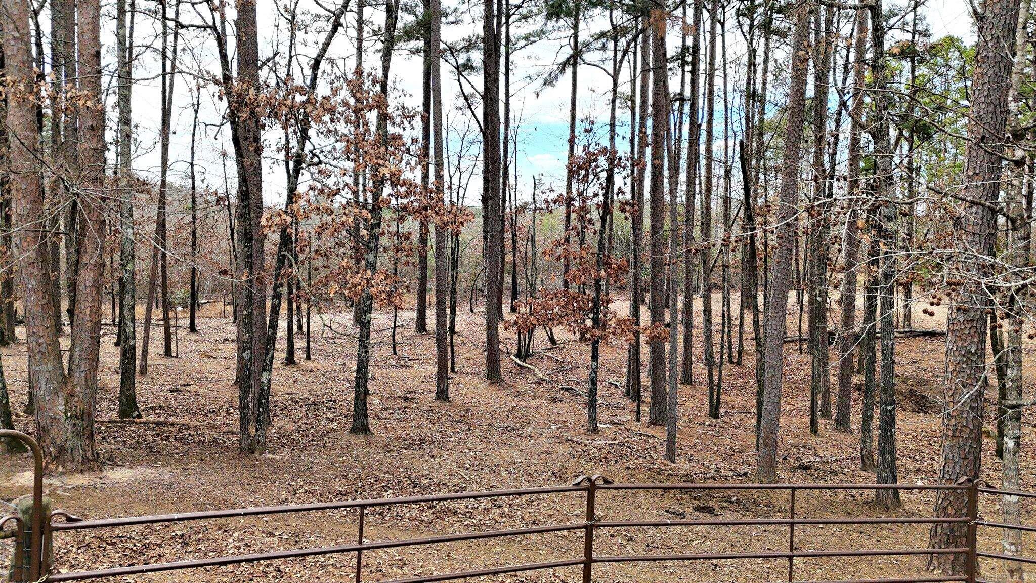 19 Bradshaw Lane Norman, AR 71960