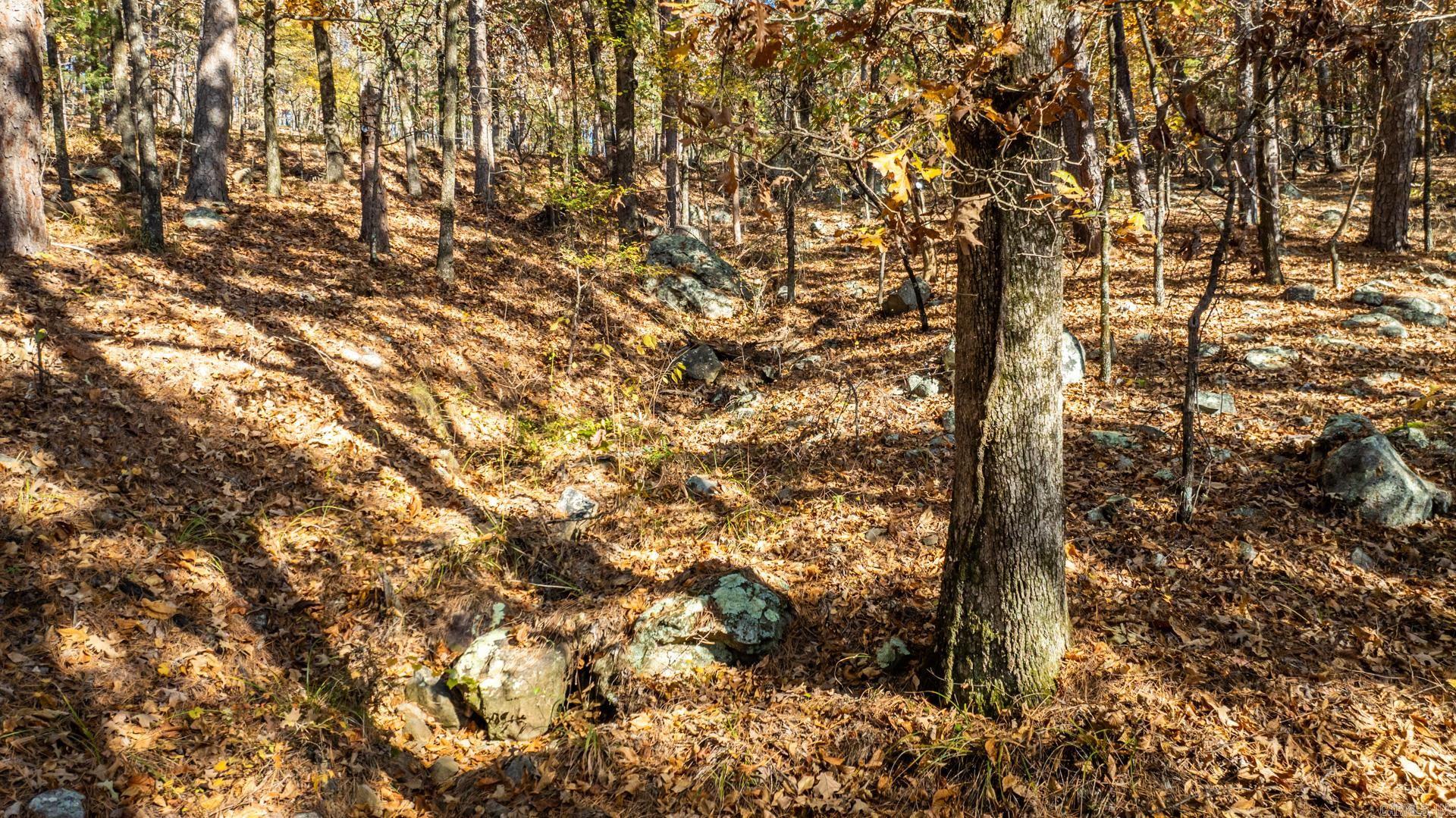 TBD Old Arkansas  Roland, AR