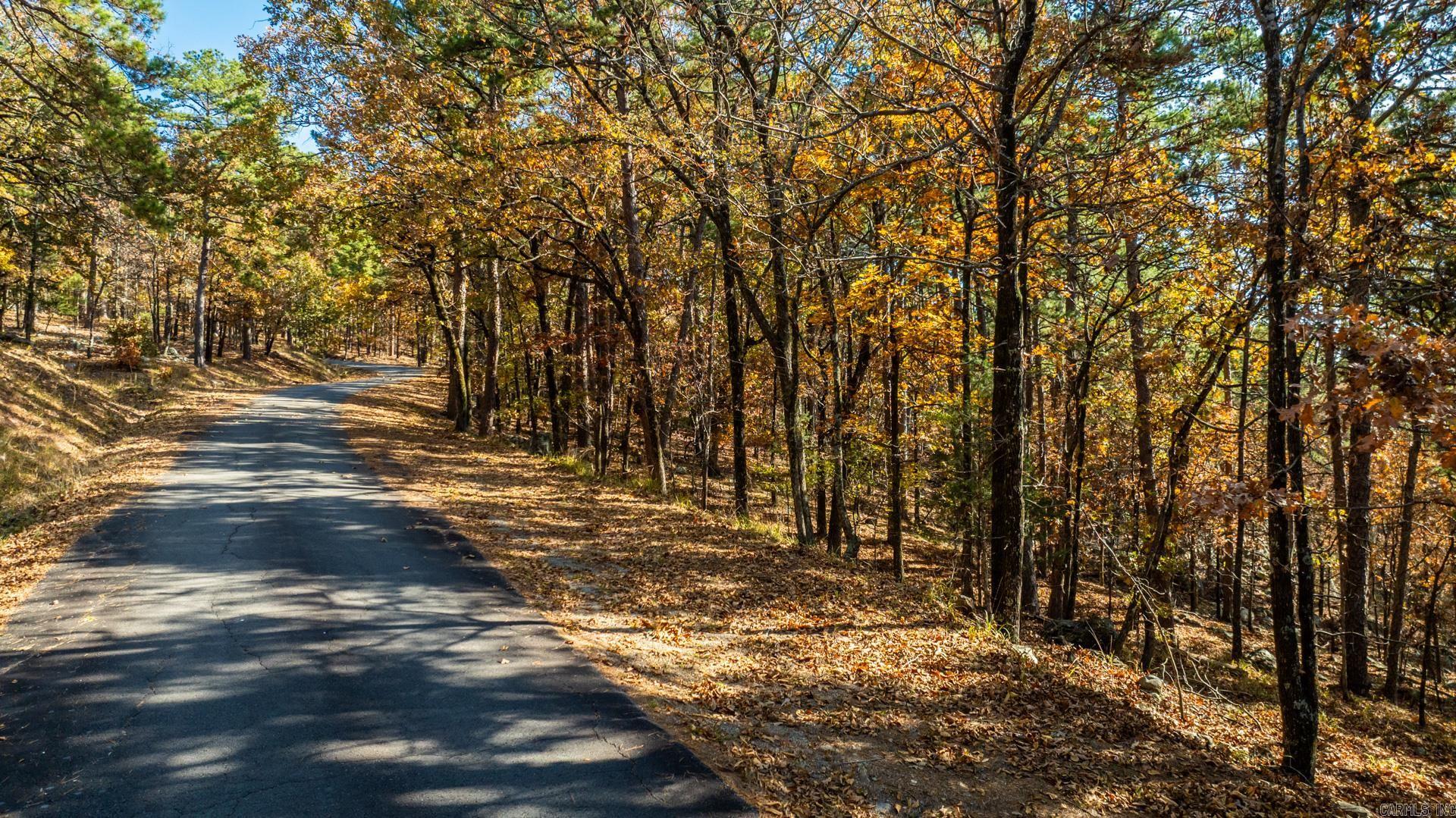 TBD Old Arkansas  Roland, AR