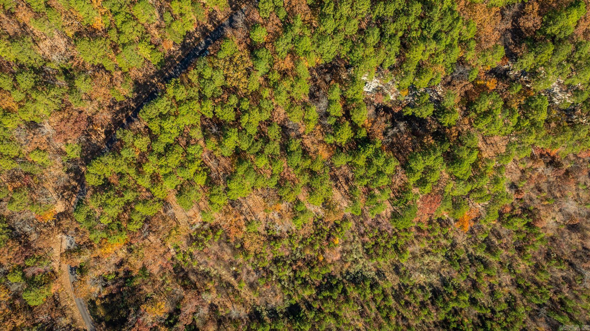 TBD Old Arkansas  Little Rock, AR