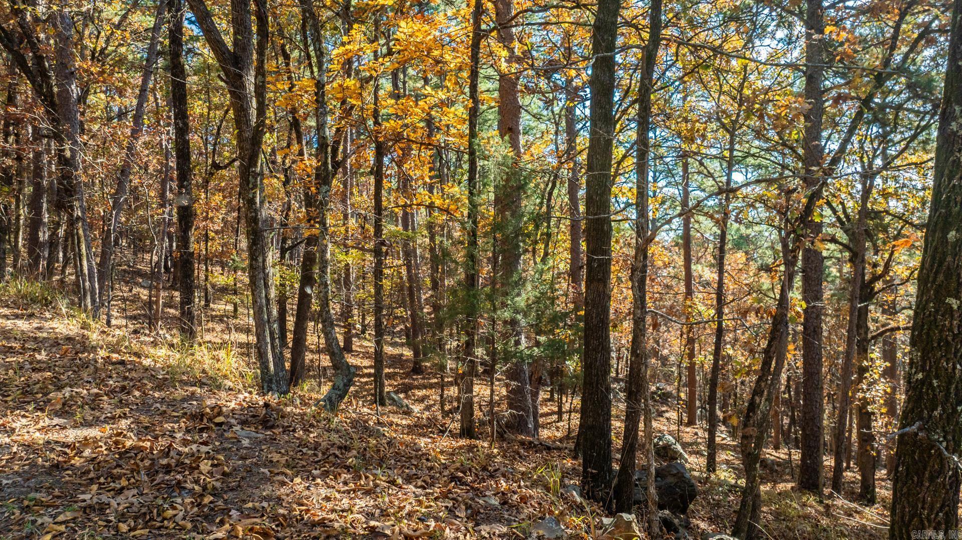 TBD Old Arkansas  Roland, AR