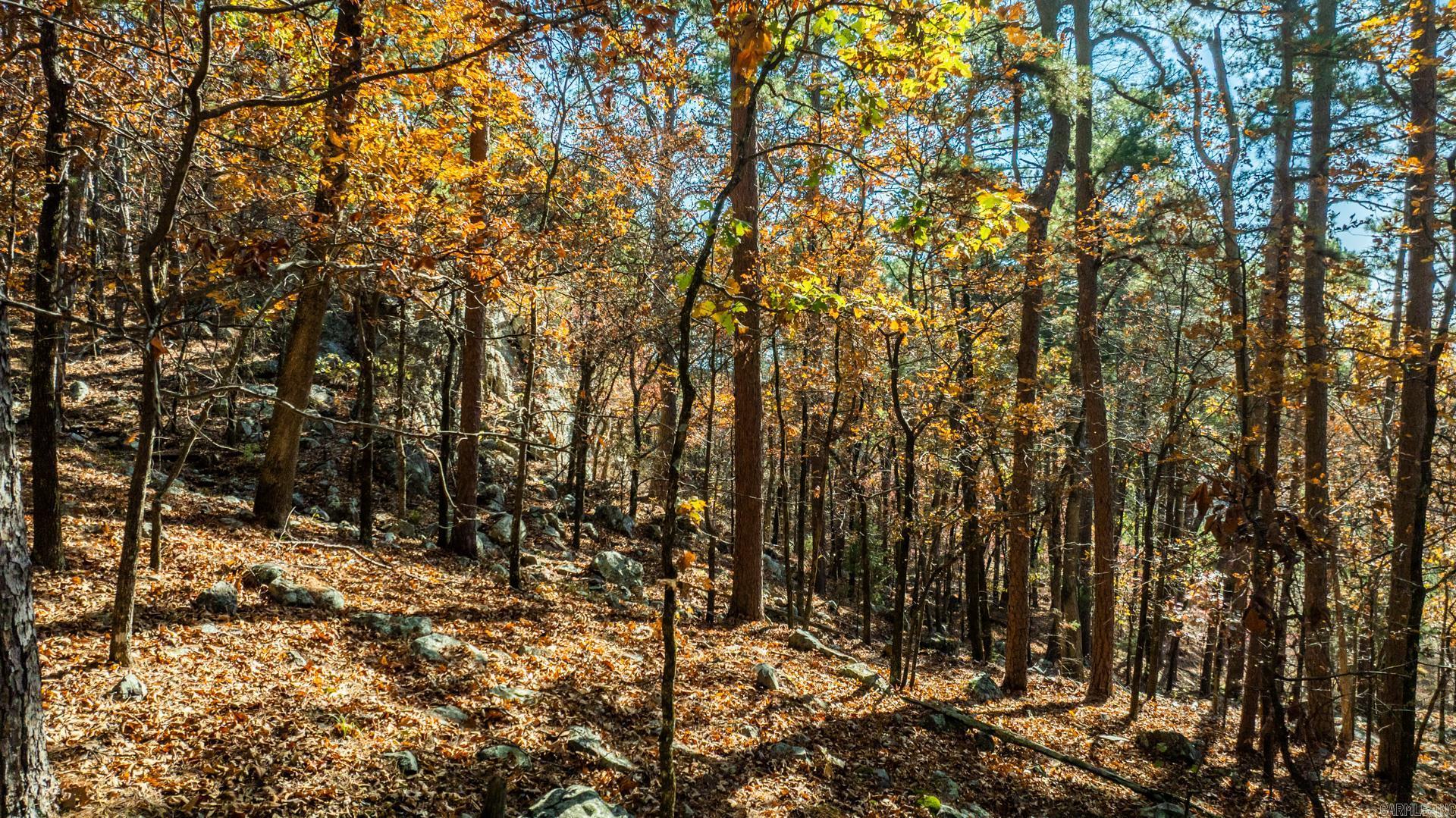 TBD Old Arkansas  Roland, AR