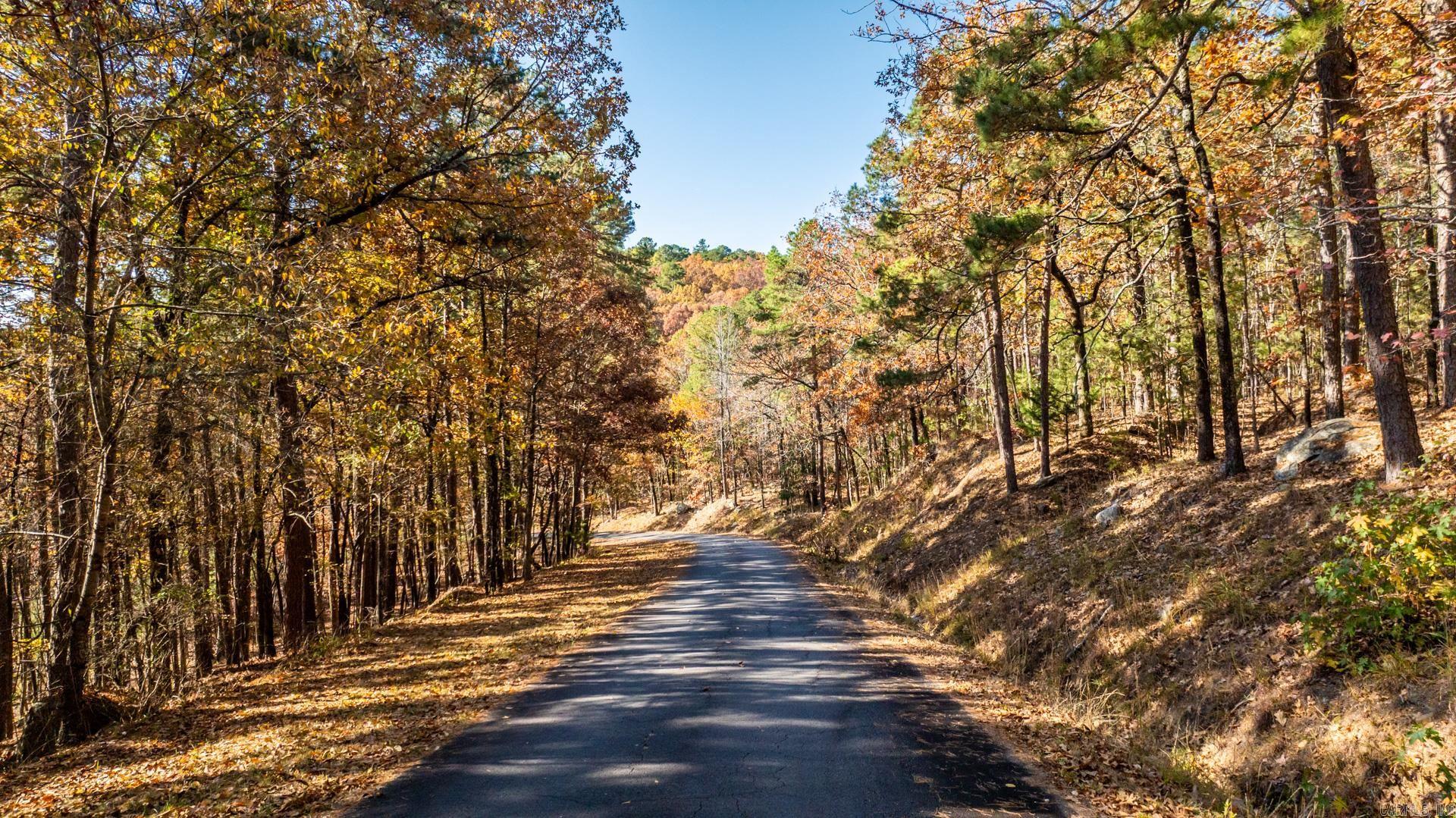 TBD Old Arkansas  Roland, AR