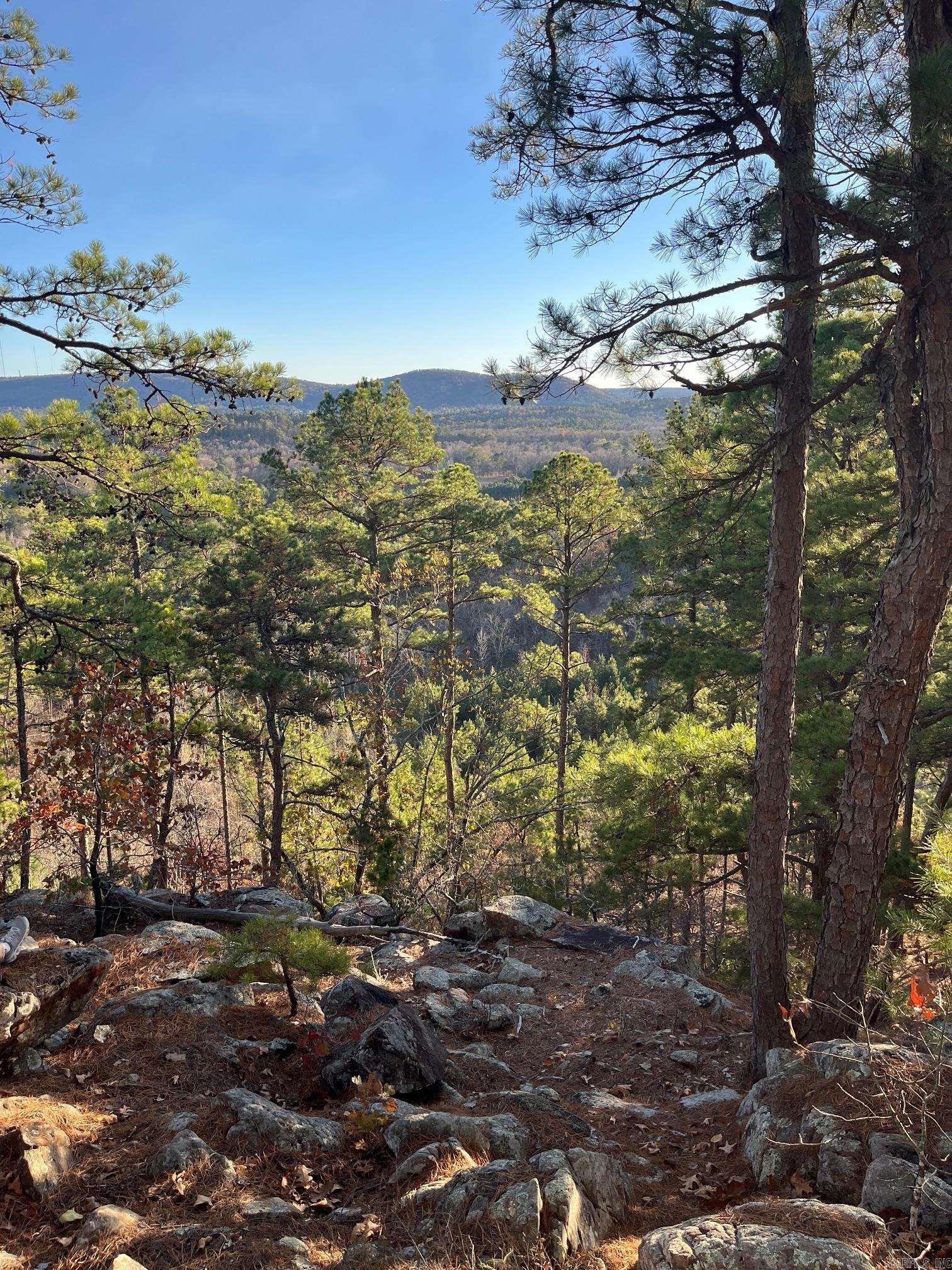 TBD Old Arkansas  Roland, AR