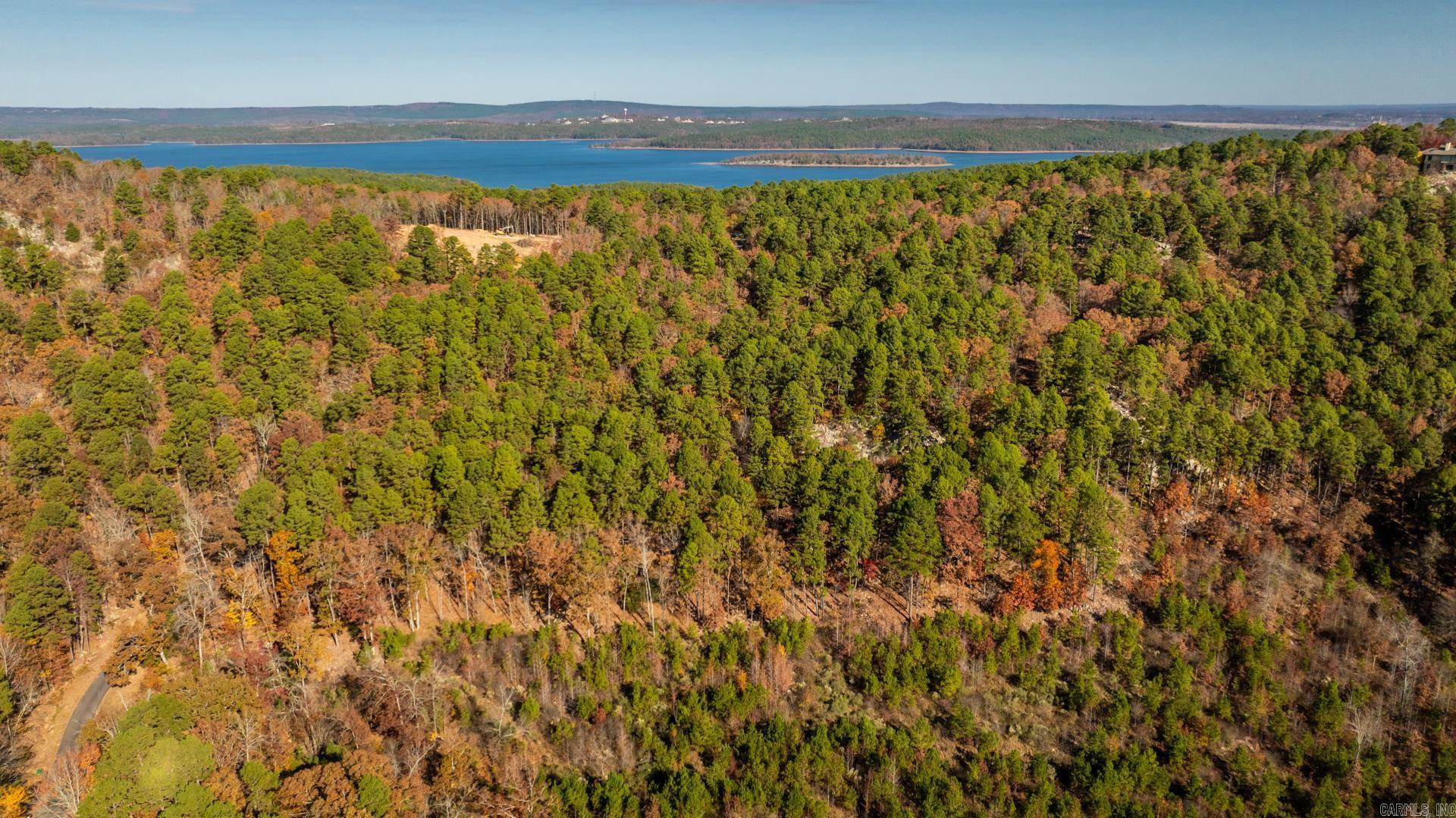 TBD Old Arkansas  Roland, AR