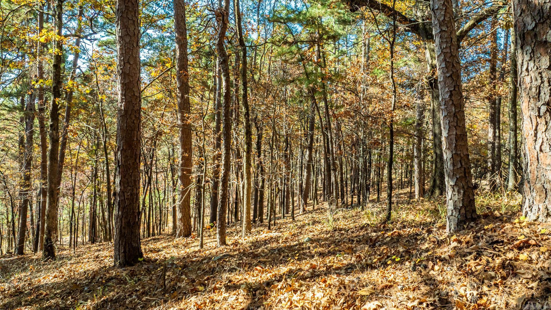 TBD Old Arkansas  Little Rock, AR