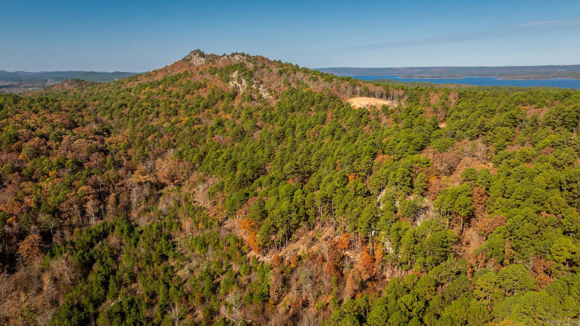 TBD Old Arkansas  Roland, AR