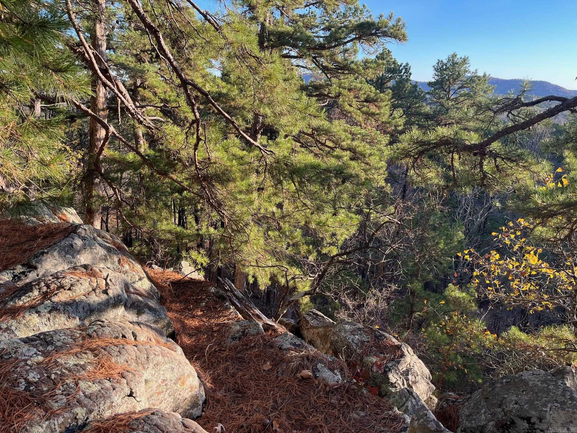 TBD Old Arkansas  Roland, AR