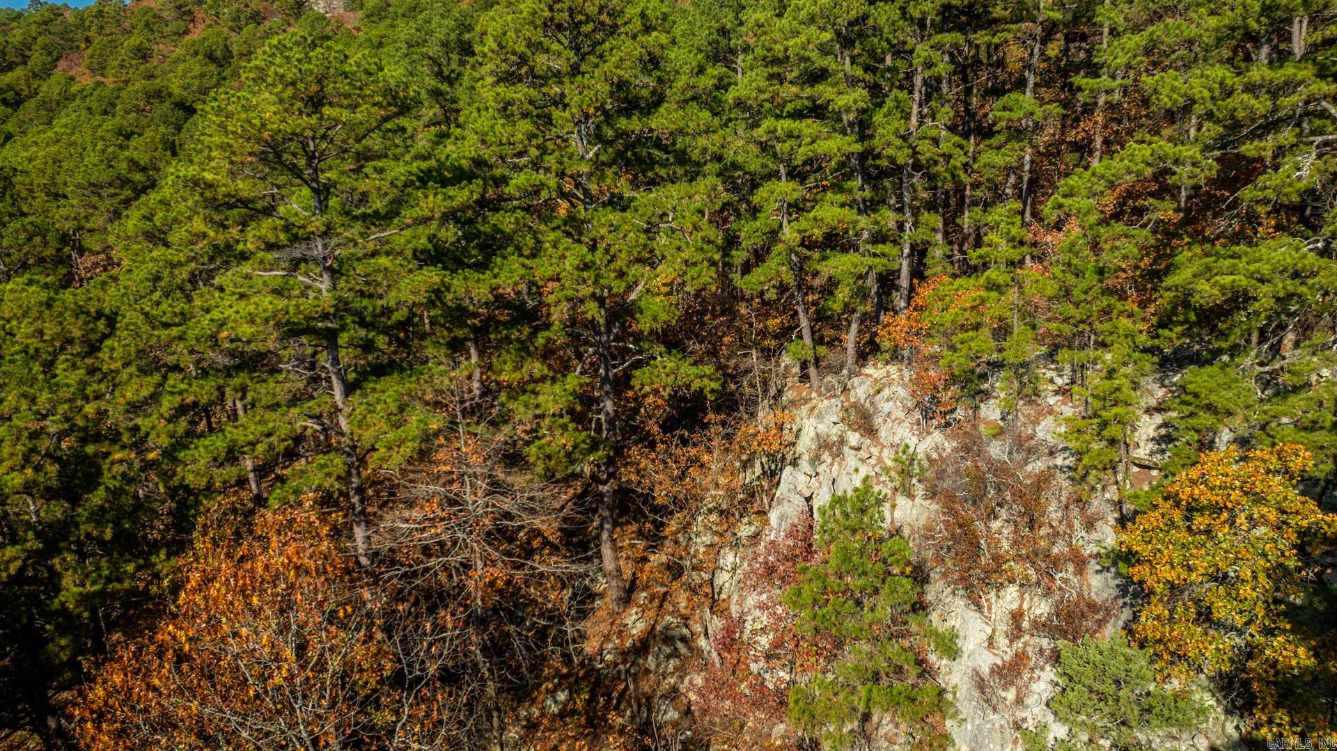 TBD Old Arkansas  Roland, AR