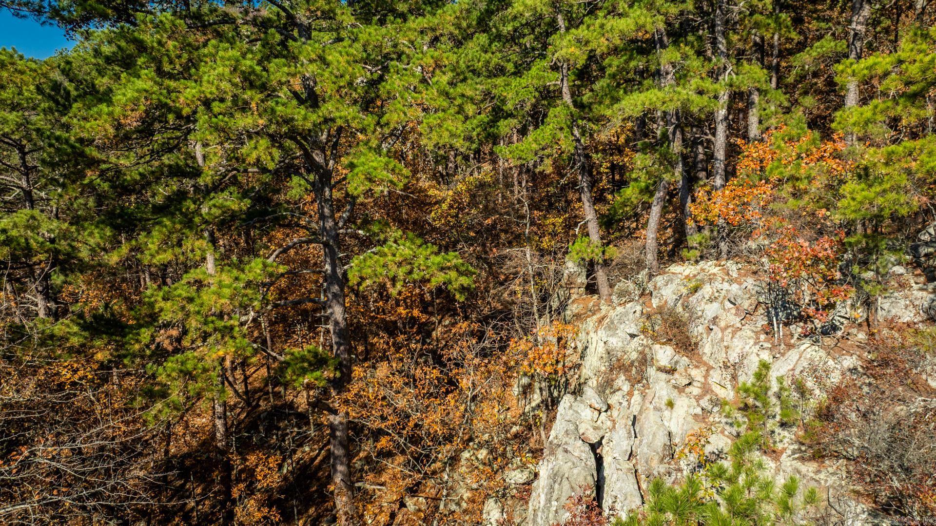 TBD Old Arkansas  Roland, AR