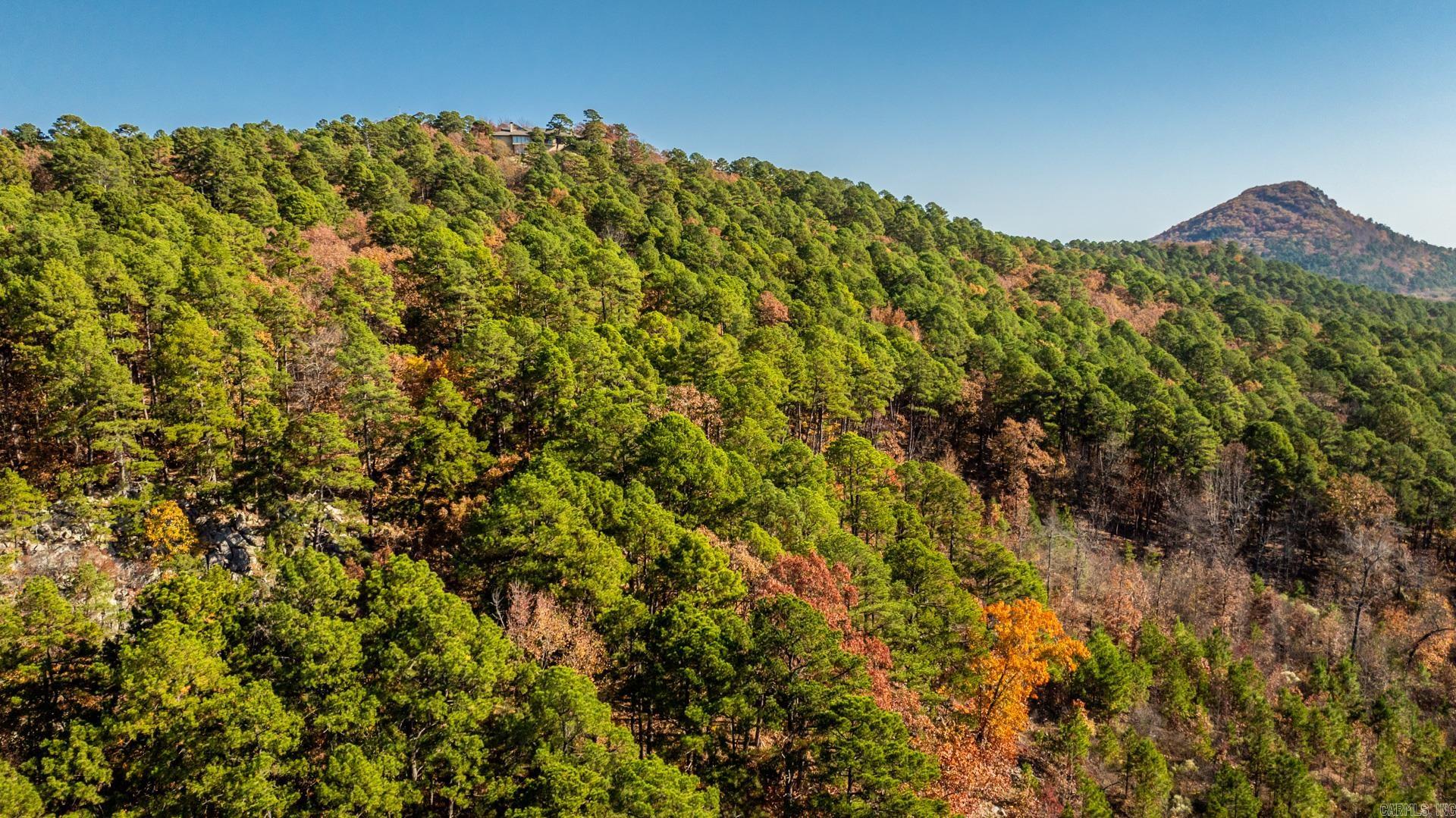 TBD Old Arkansas  Roland, AR