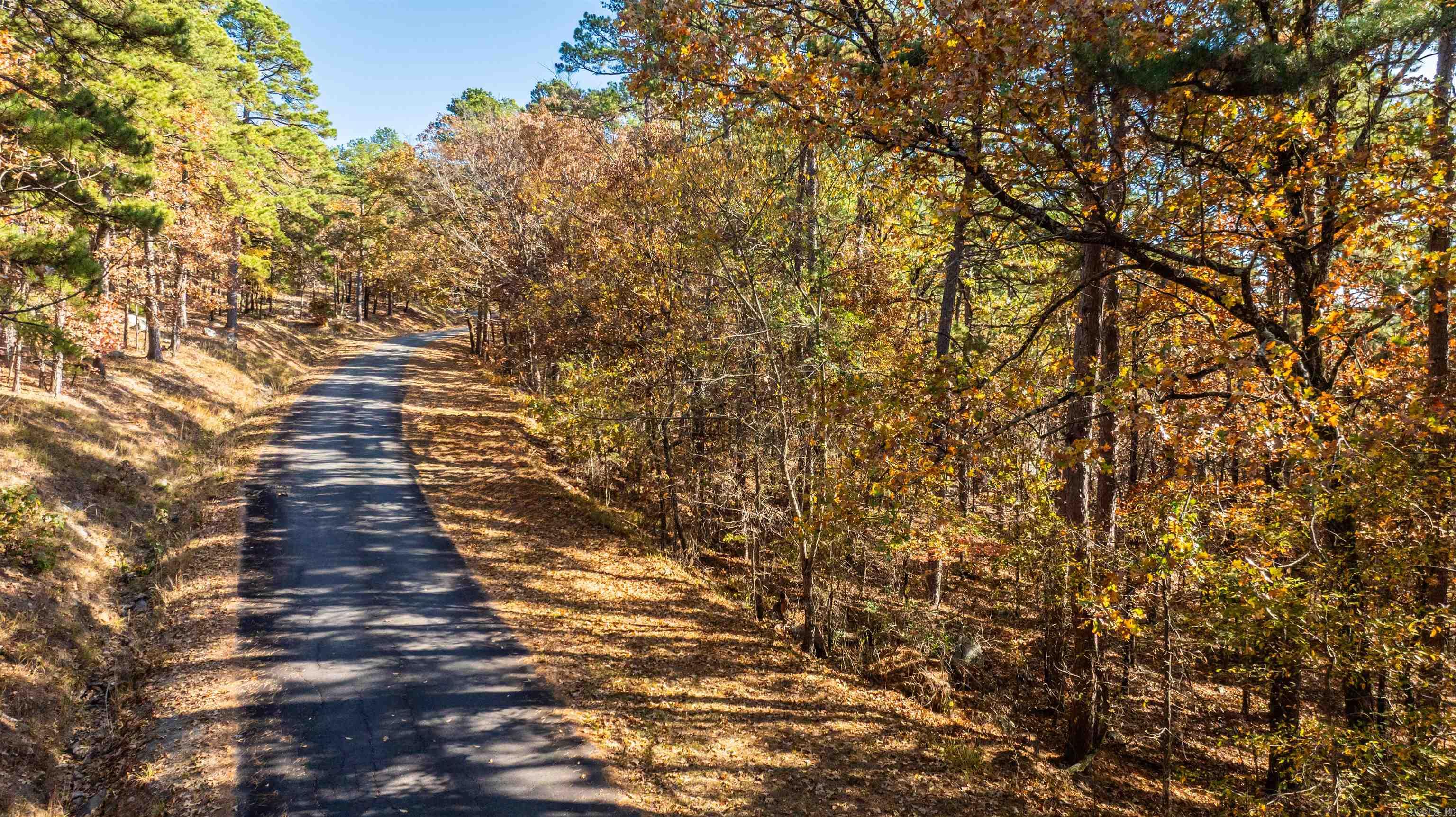 TBD Old Arkansas  Roland, AR