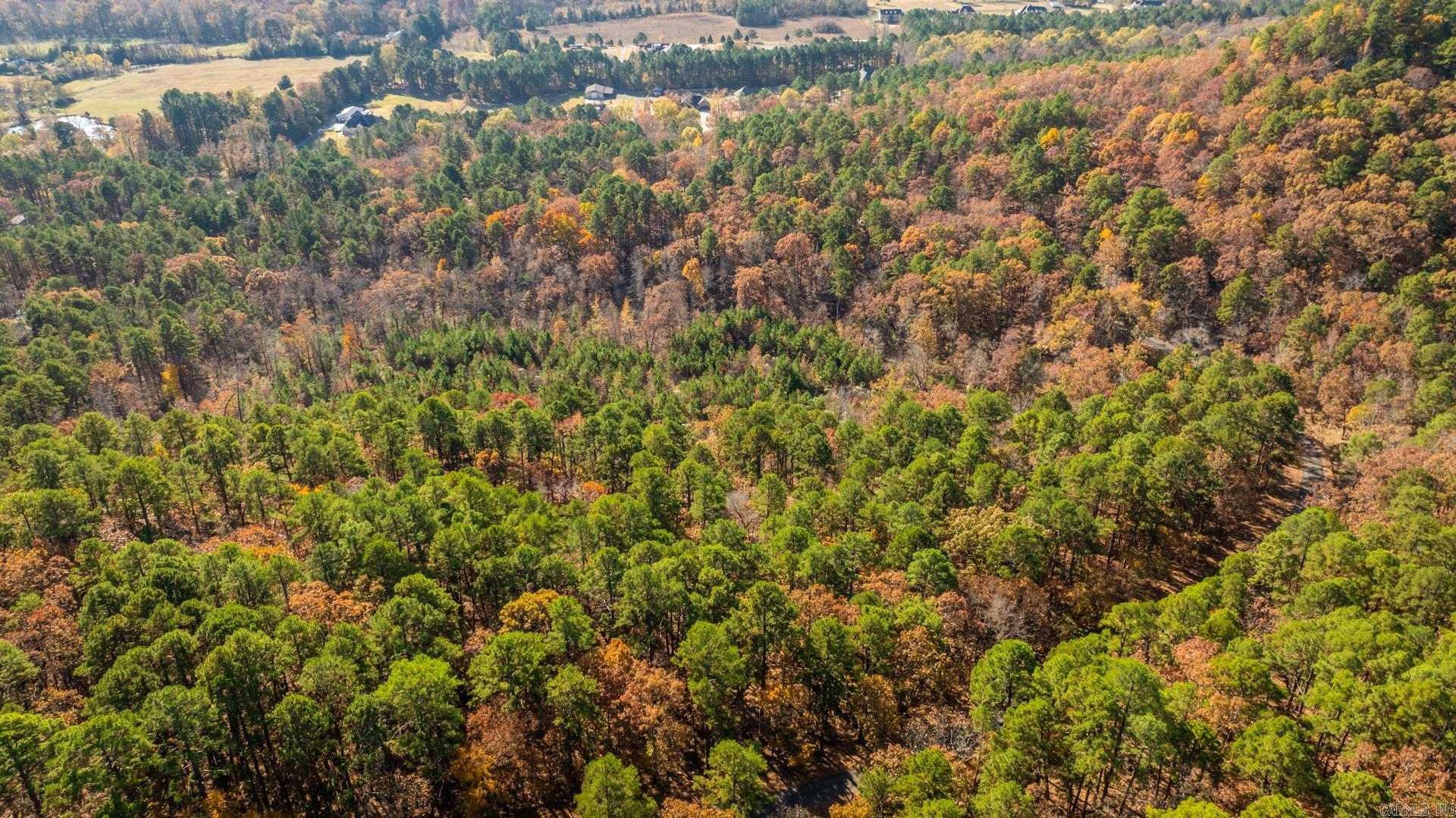 TBD Old Arkansas  Little Rock, AR