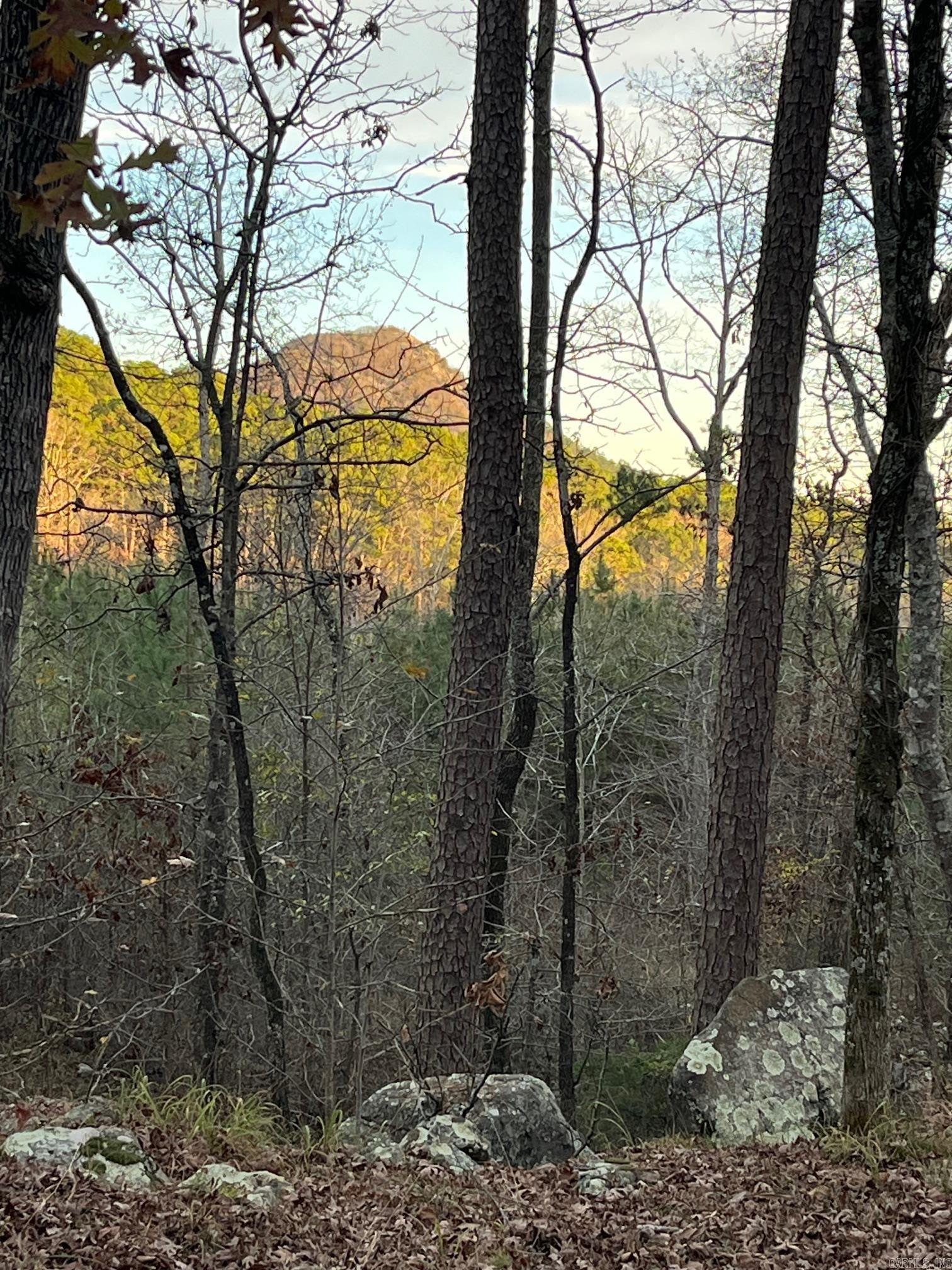 TBD Old Arkansas  Roland, AR