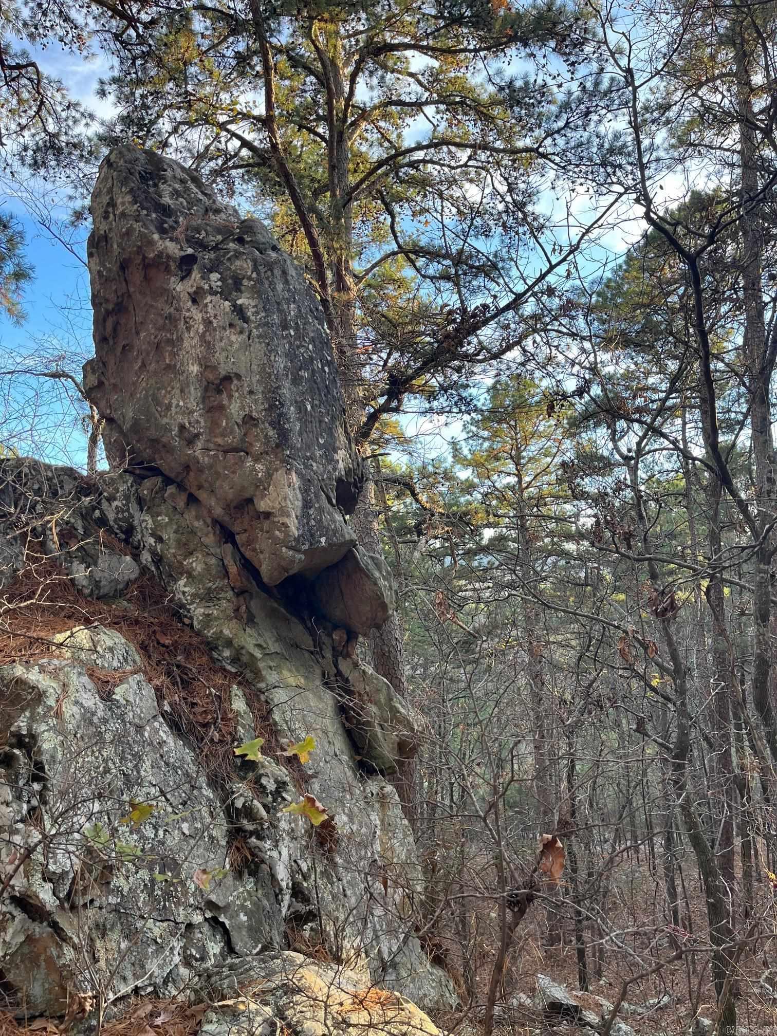 TBD Old Arkansas  Roland, AR