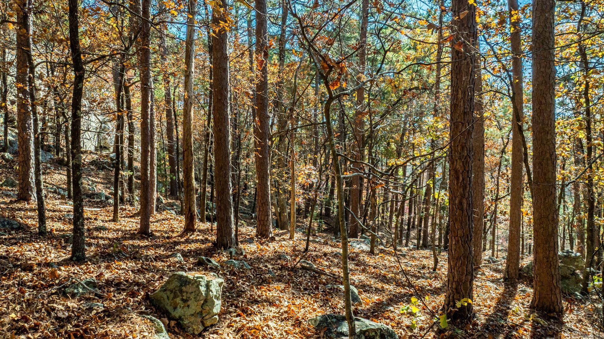 TBD Old Arkansas  Roland, AR