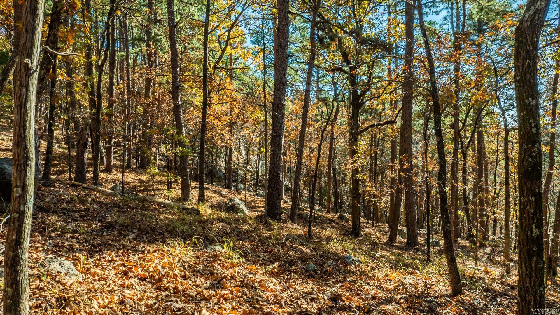 TBD Old Arkansas  Roland, AR