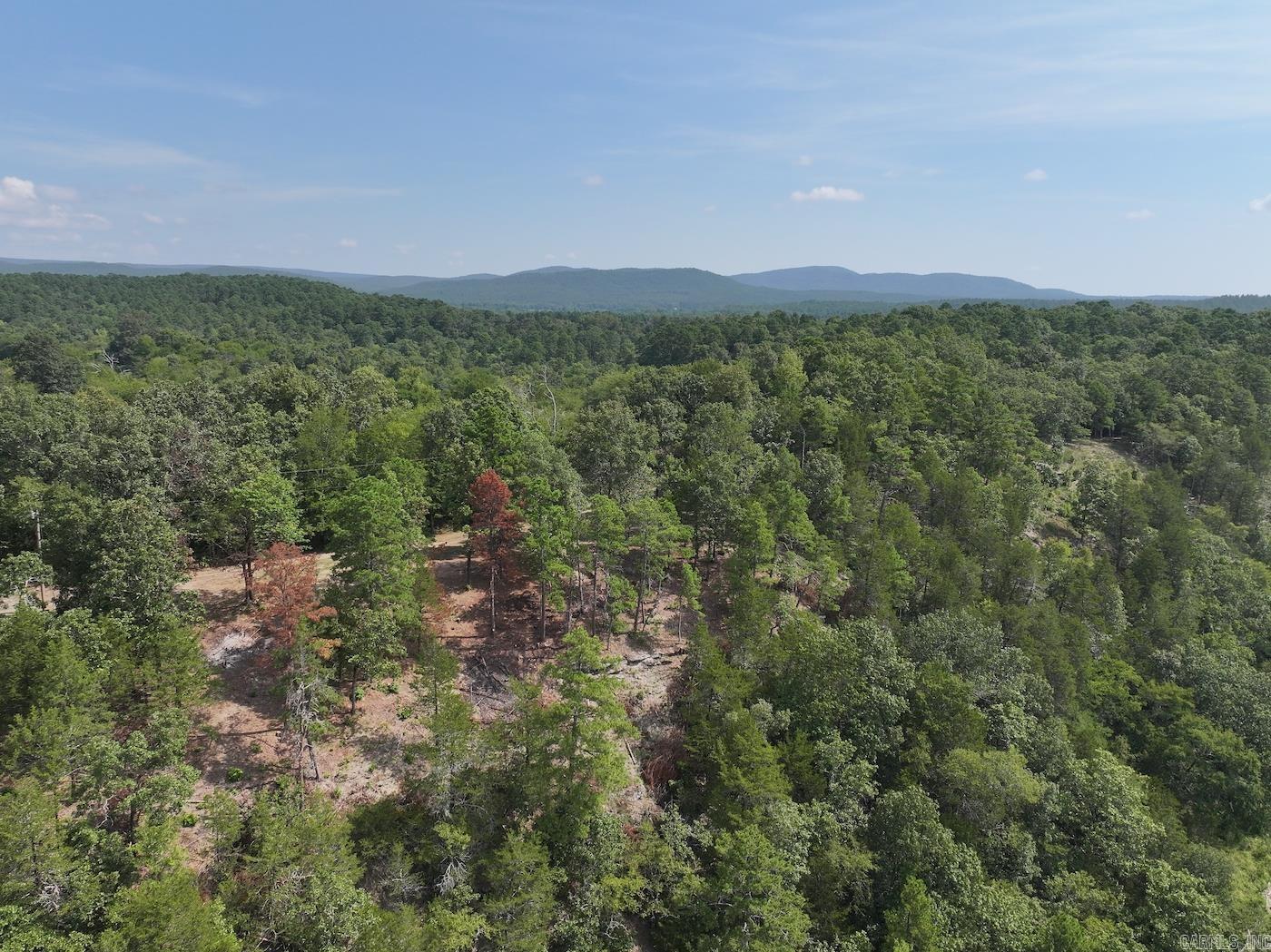 101 Rapids Run Lot 1 Sims, AR