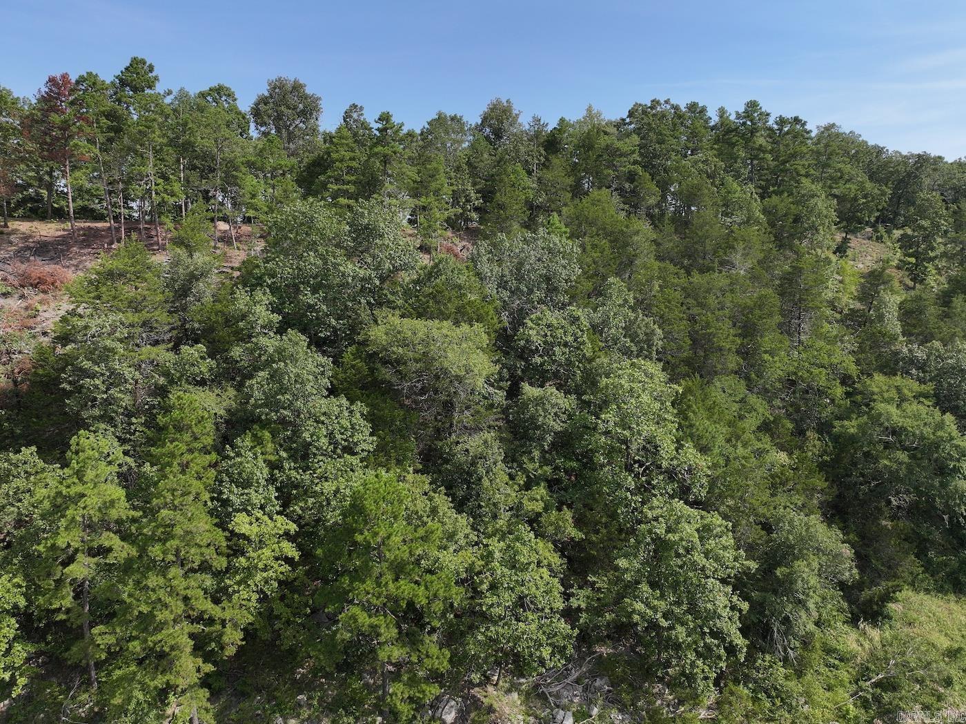 101 Rapids Run Lot 1 Sims, AR