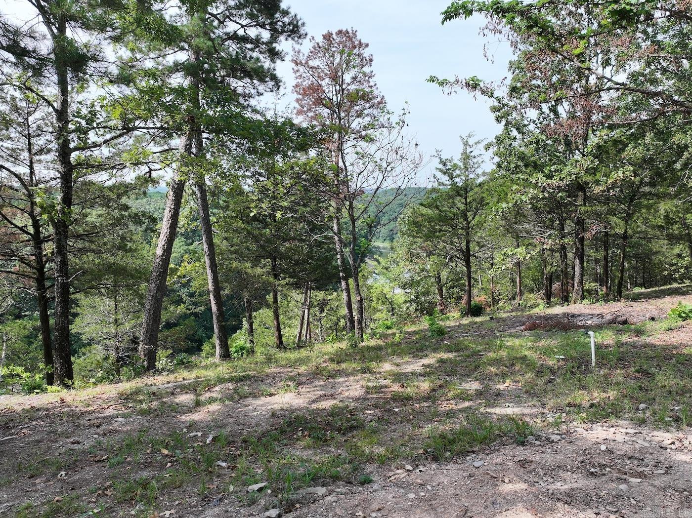 101 Rapids Run Lot 1 Sims, AR