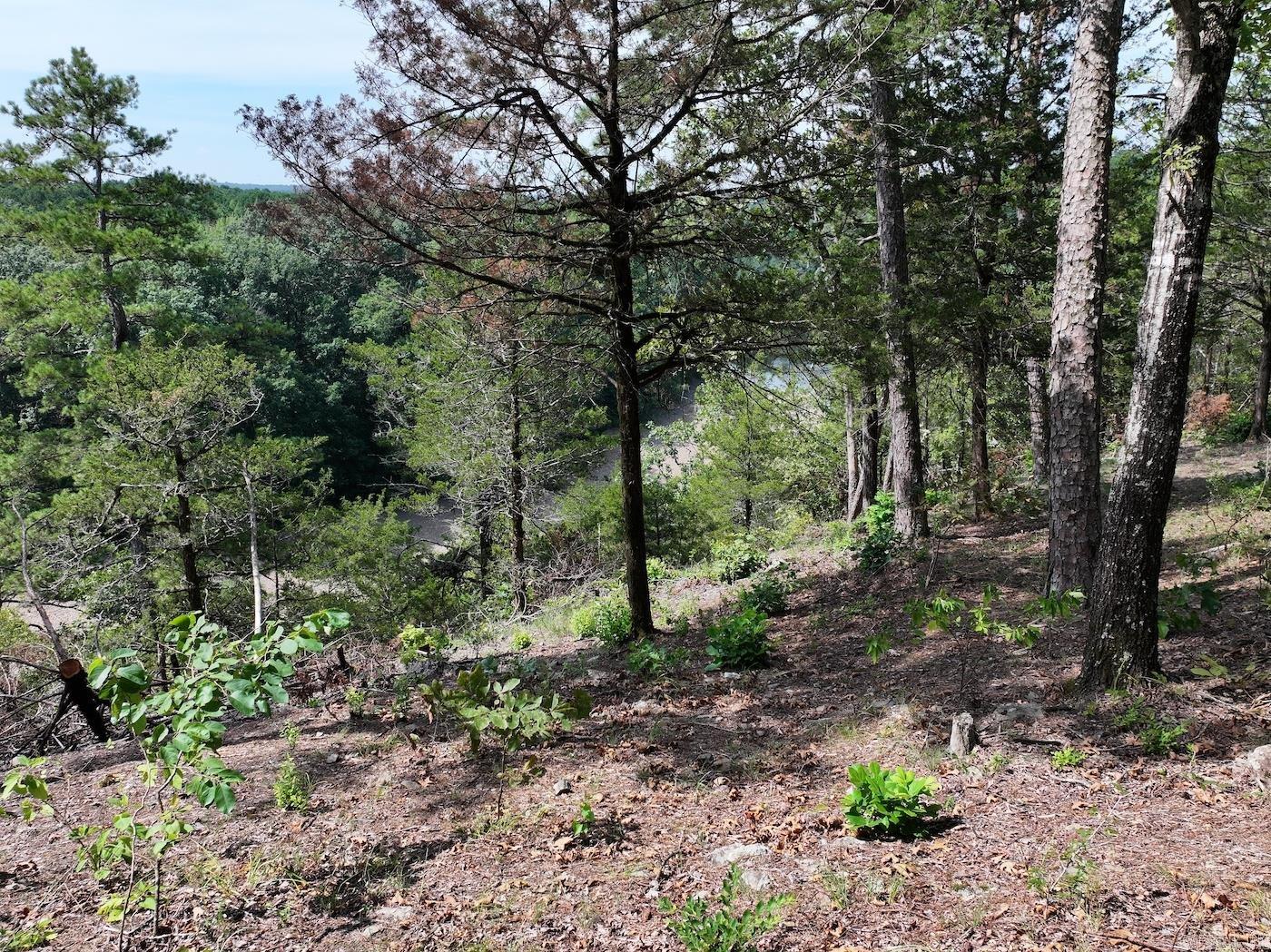 101 Rapids Run Lot 1 Sims, AR