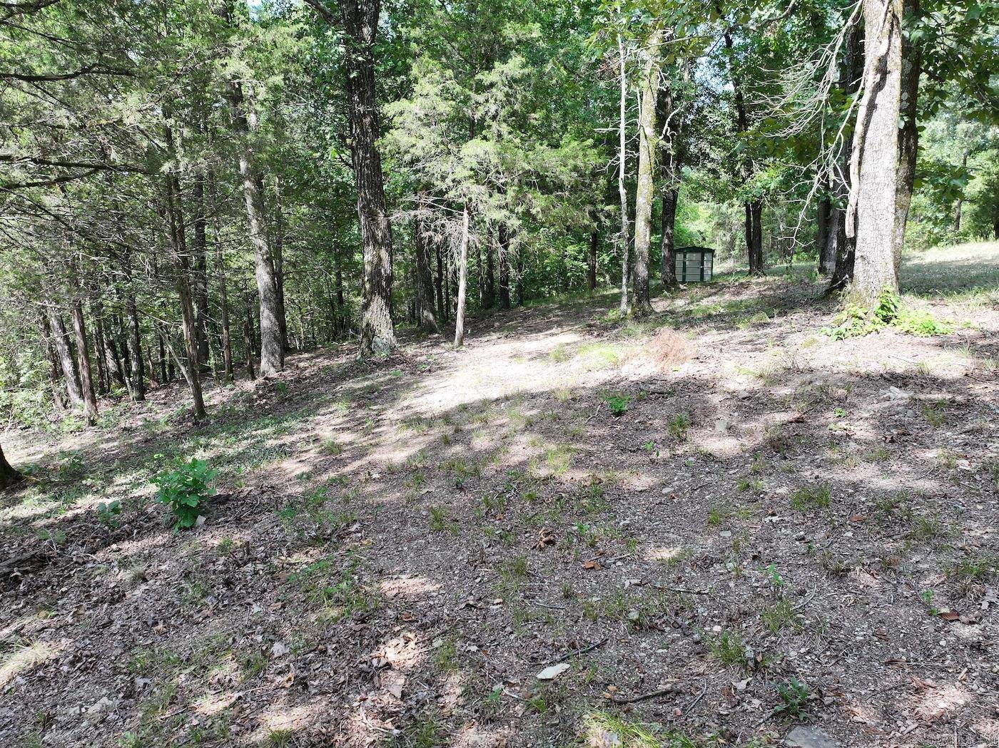101 Rapids Run Lot 1 Sims, AR