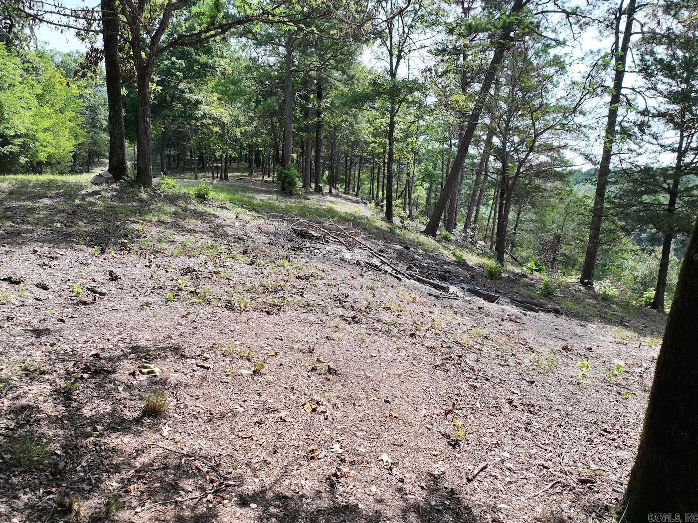 101 Rapids Run Lot 1 Sims, AR