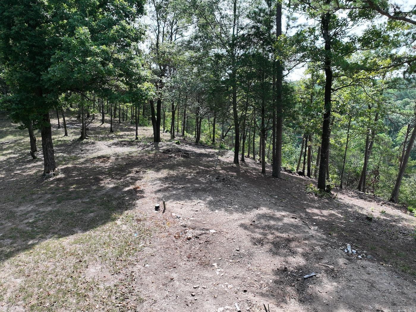 101 Rapids Run Lot 1 Sims, AR