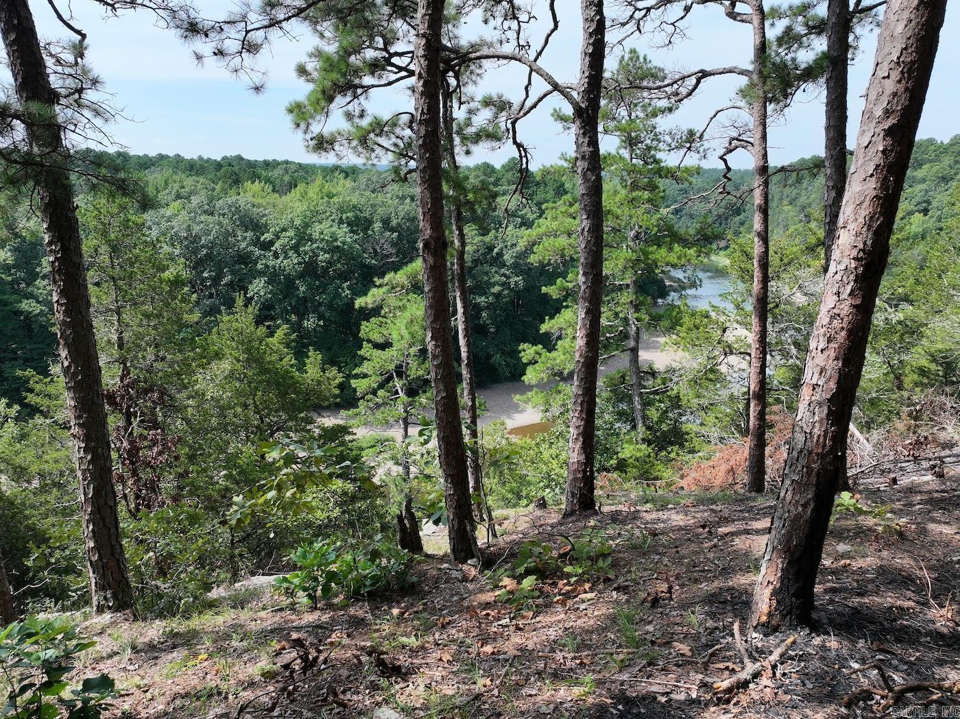 101 Rapids Run Lot 1 Sims, AR