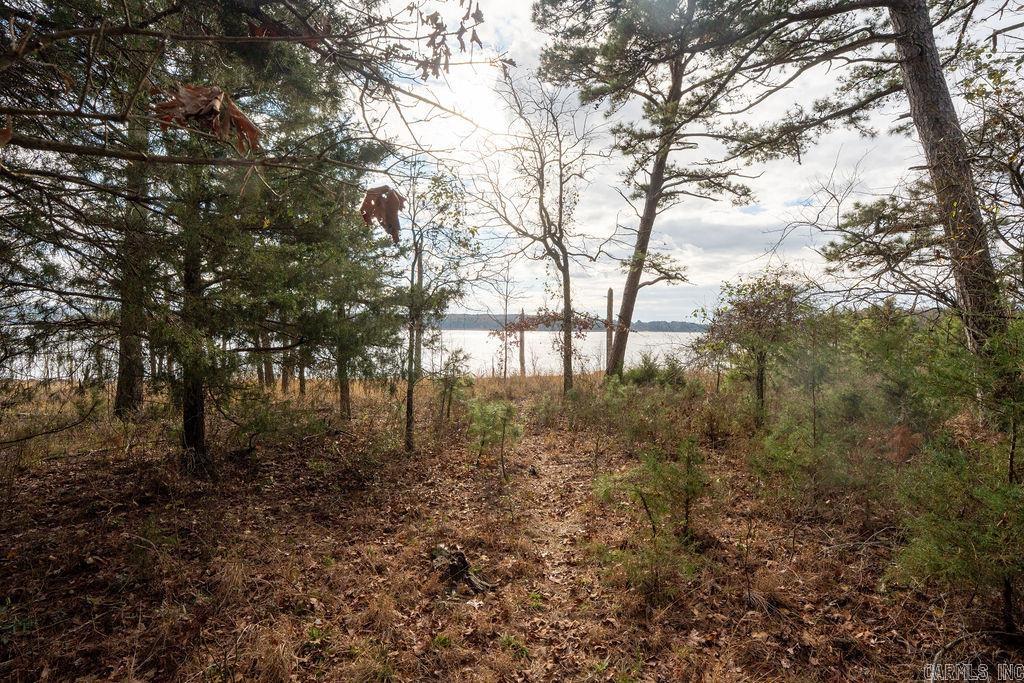 230 Island Shores  Drasco, AR