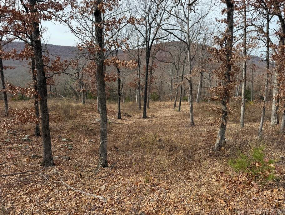 Lot 65 Restore  Harrison, AR