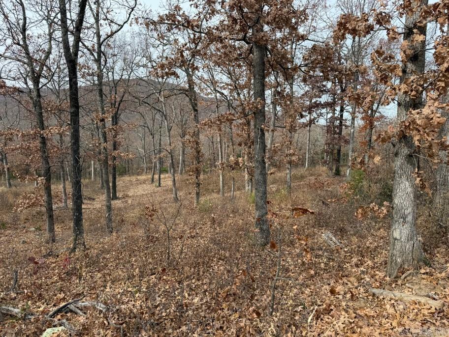 Lot 65 Restore  Harrison, AR